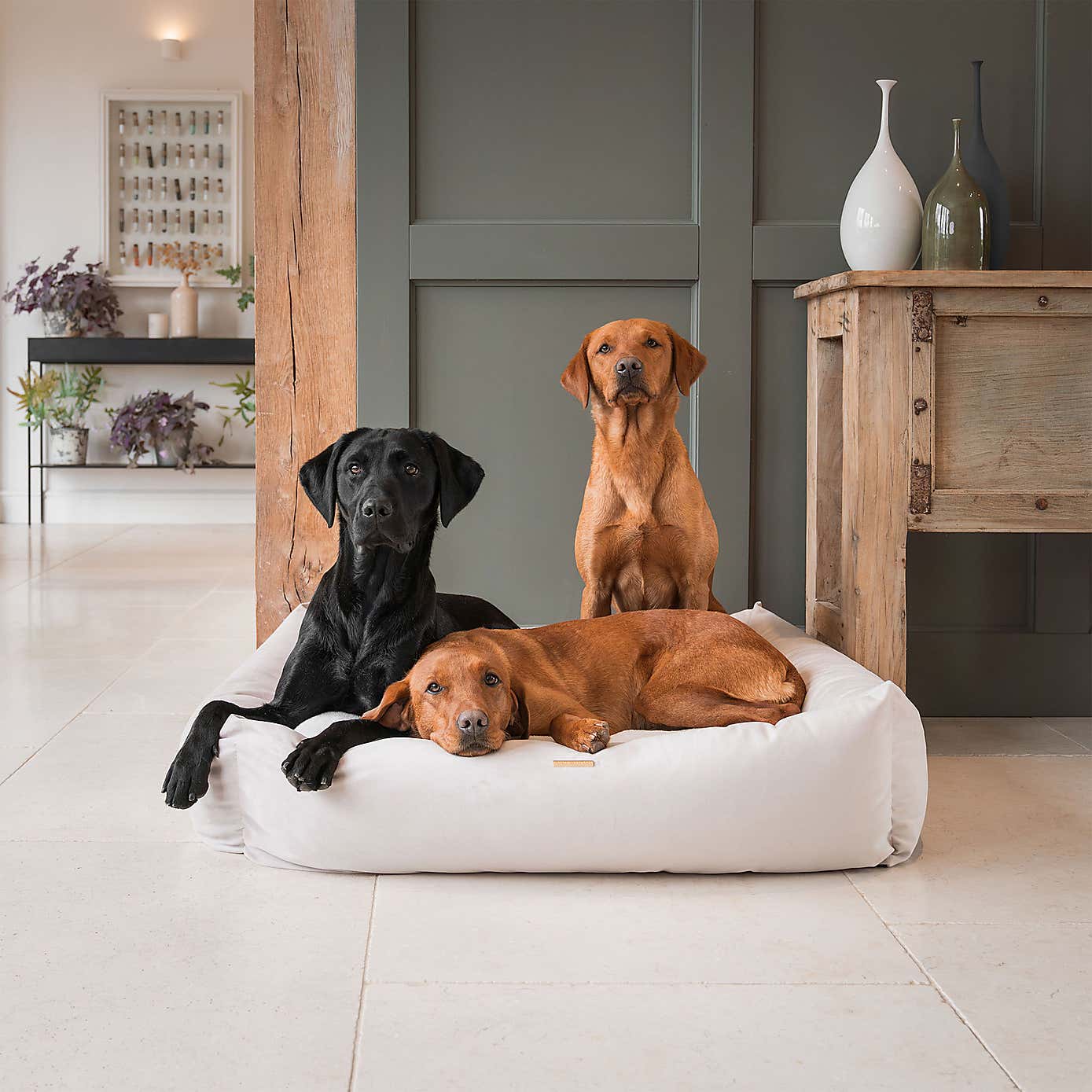 Lords and Labradors Velvet Box Dog Bed