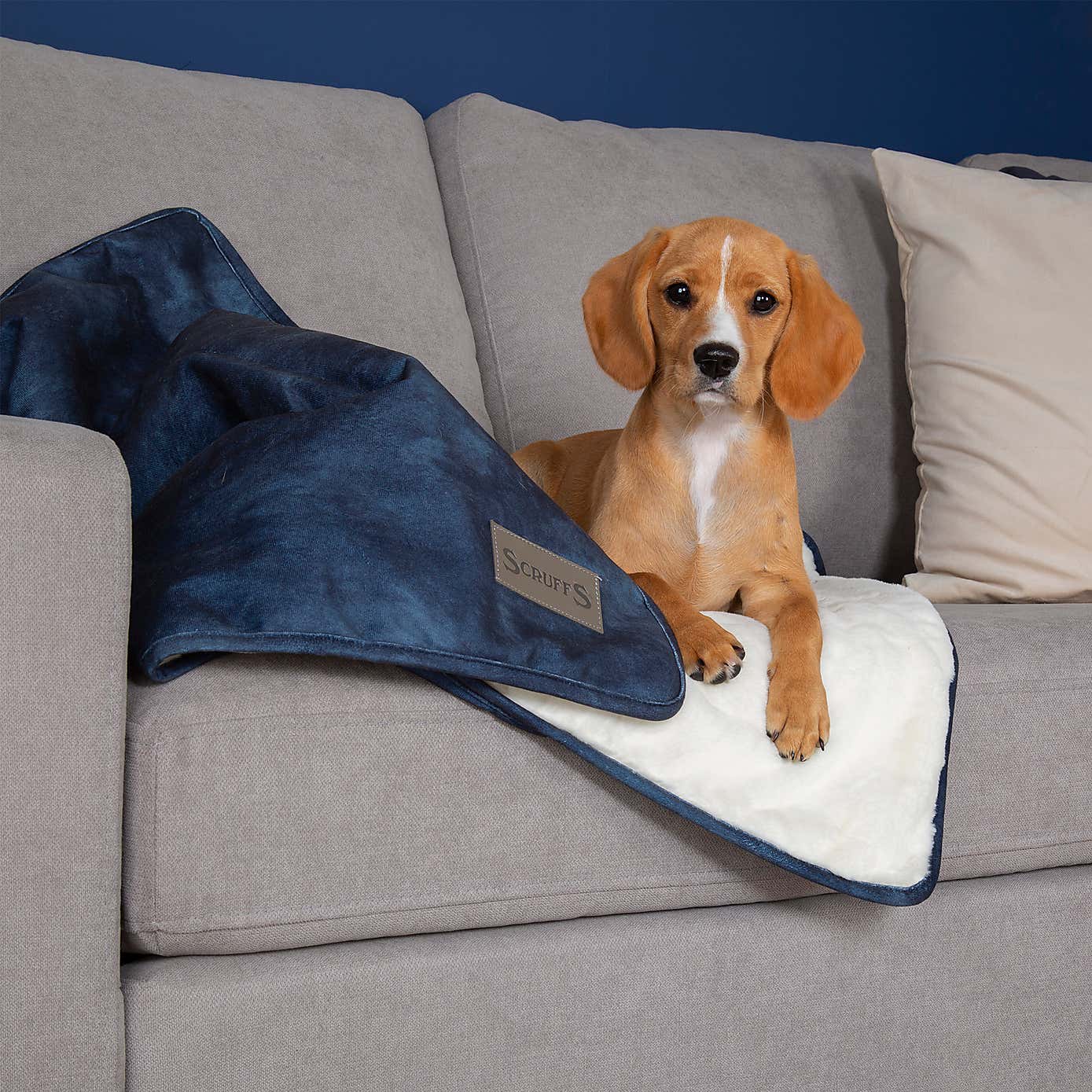 Scruffs Kensington Dog Blanket