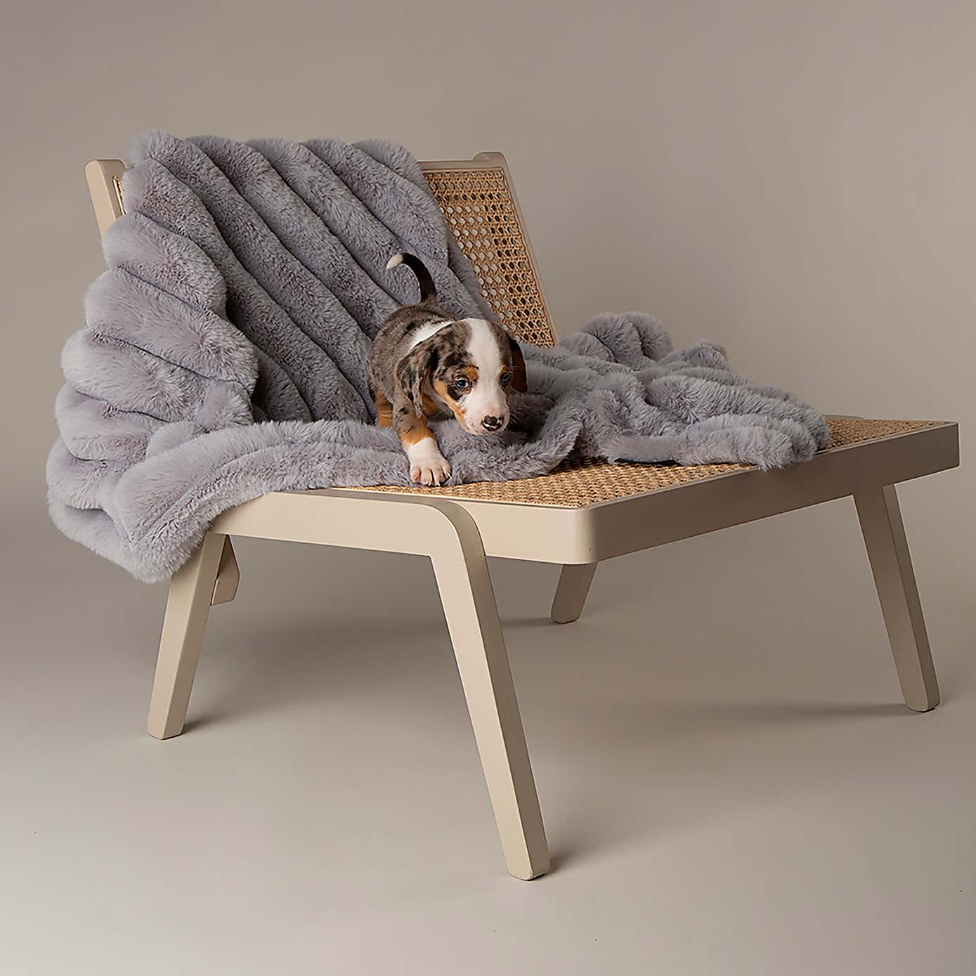 Scruffs Luxurious Aspen Pet Blanket