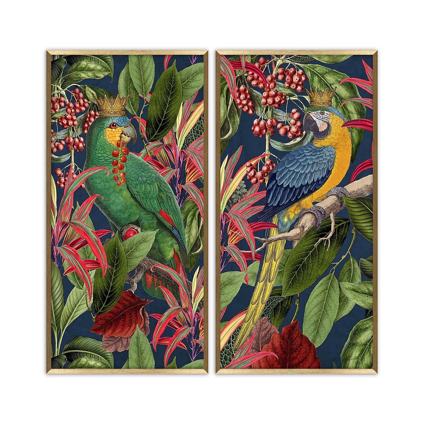 Set of 2 Parrot King Framed Prints
