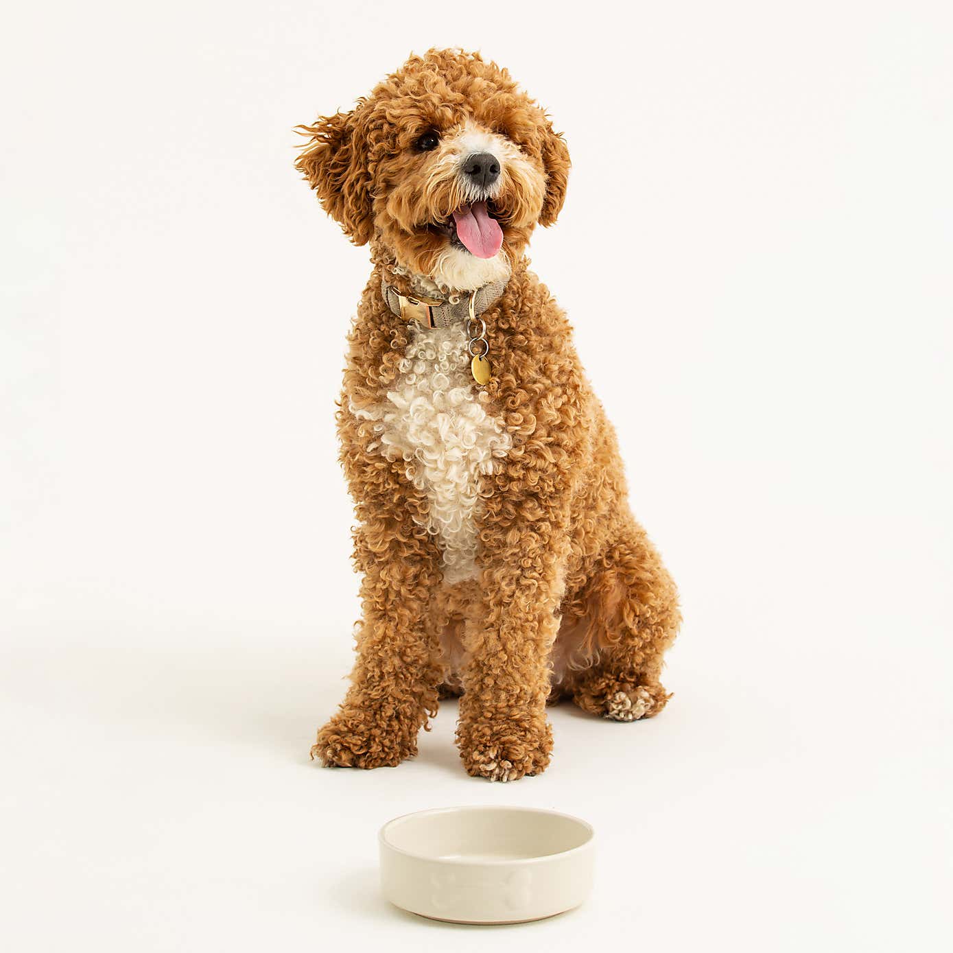 Mason Cash Set of 2 Bone Dog Bowls