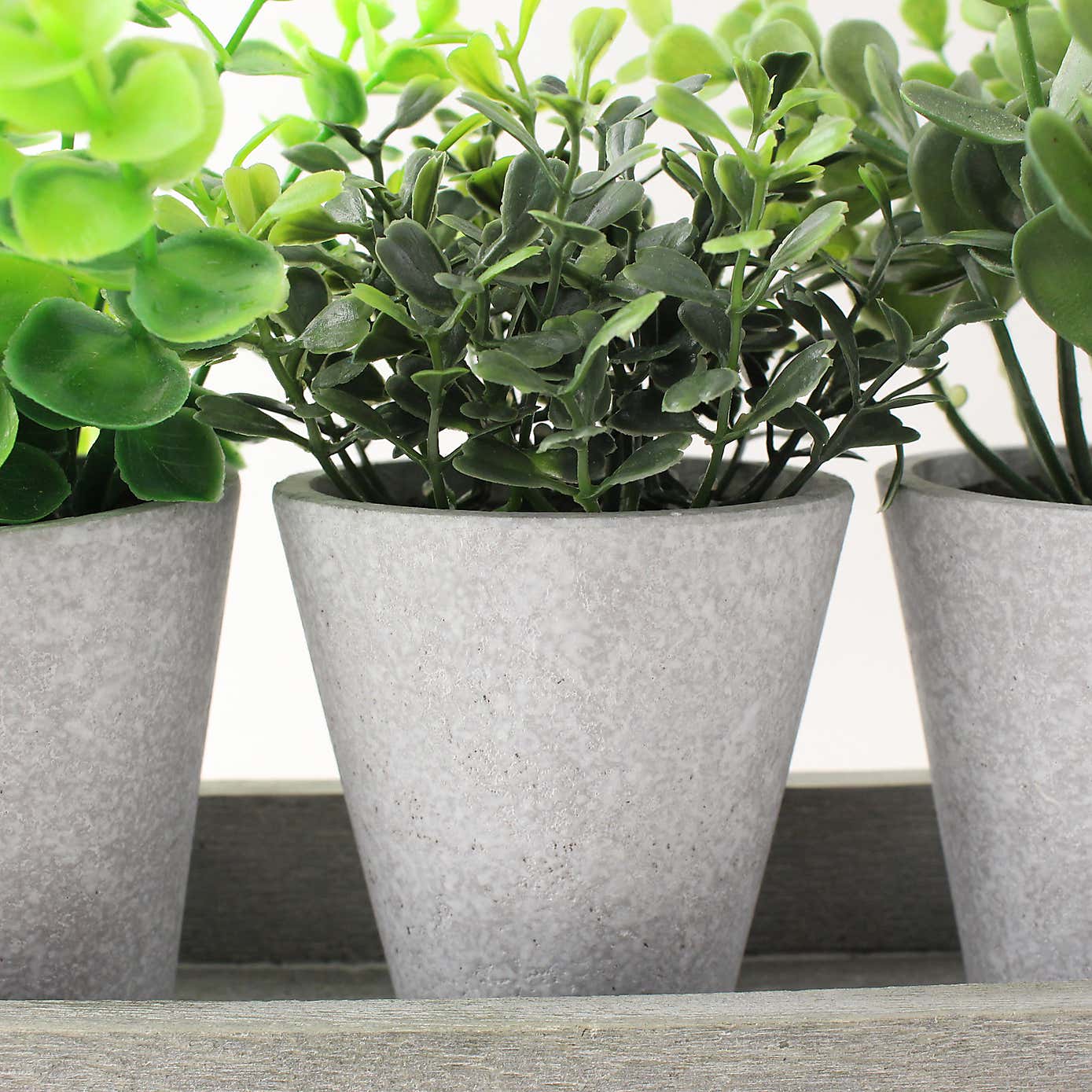 Artificial Herbs in Metal Tray
