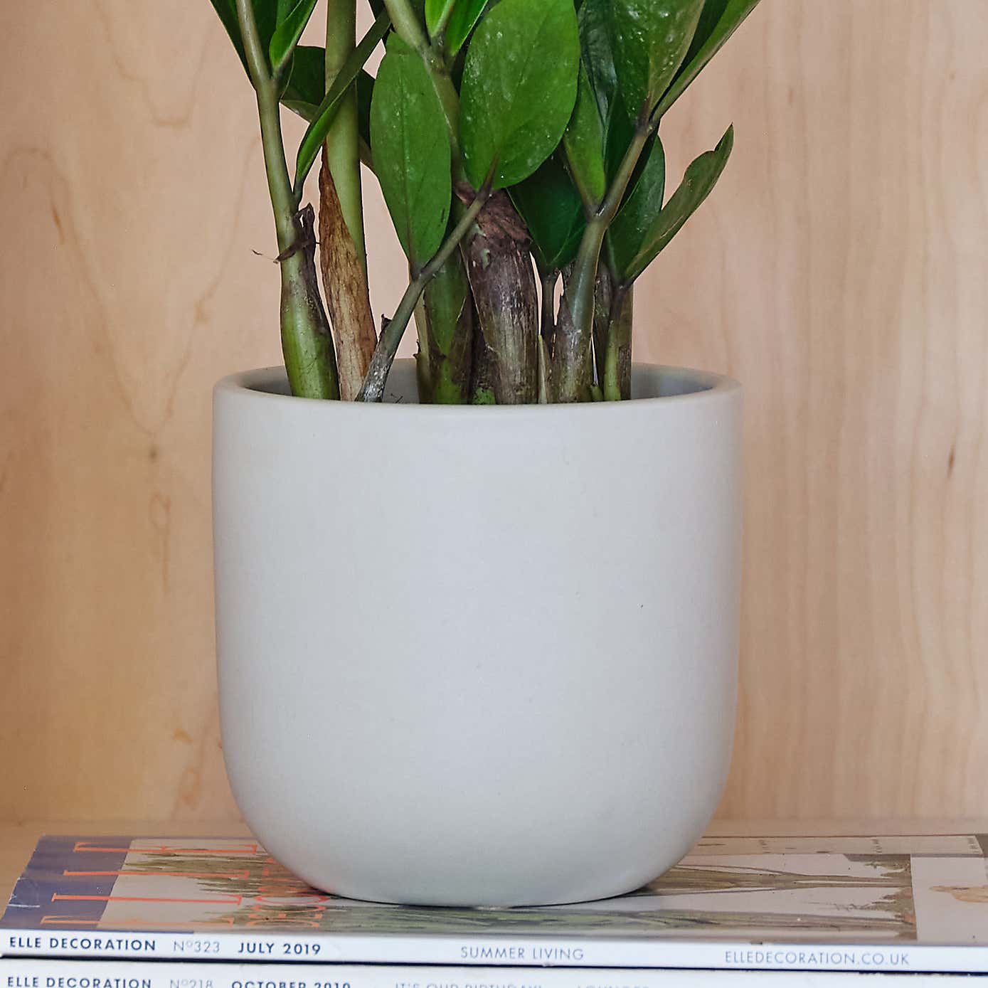 Beards and Daisies Earthenware Plant Pot