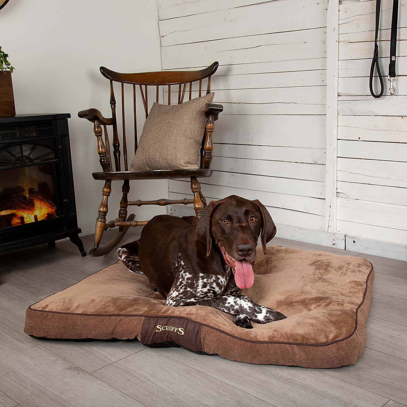 Scruffs Chester Mattress Pet Bed