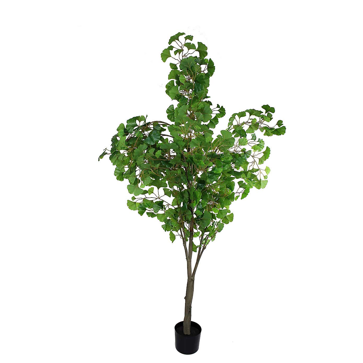 Artificial Ginkgo Tree in black Plant Pot