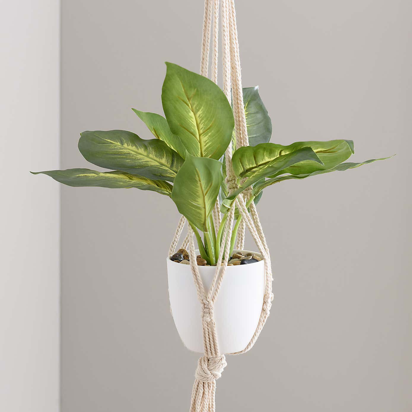 Macrame Single Plant Hanger