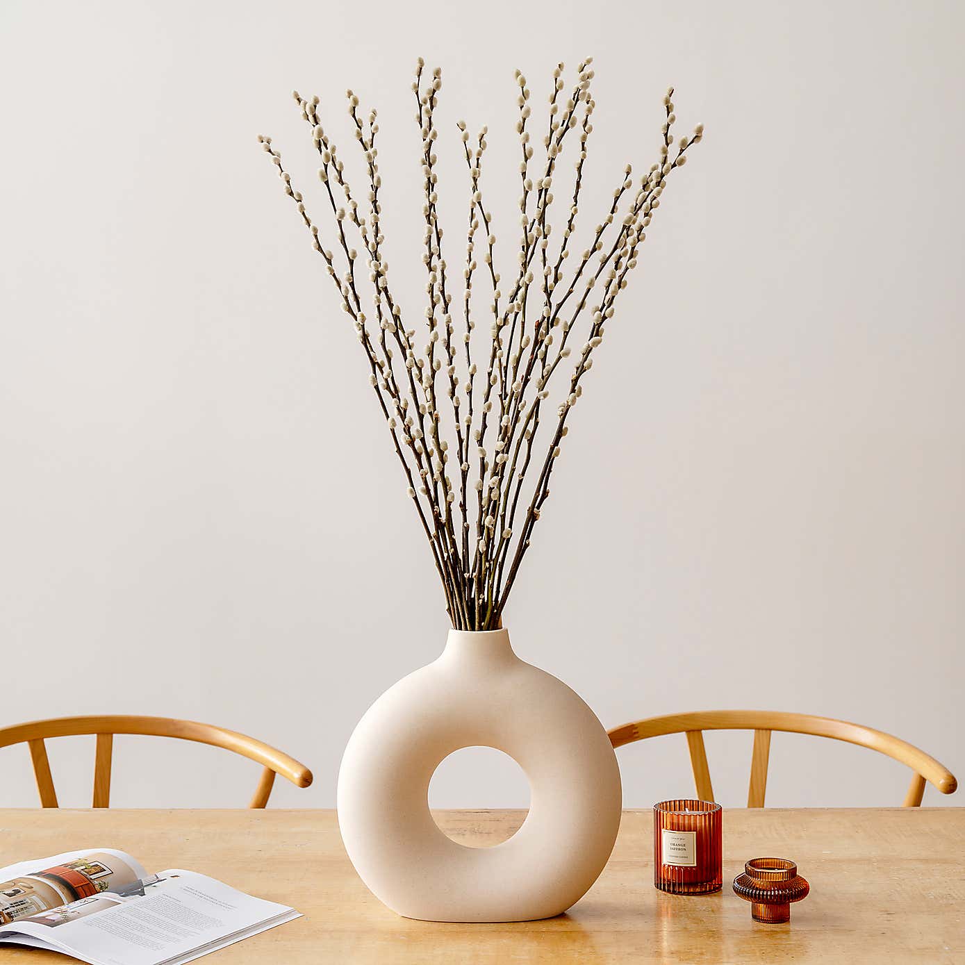 Bundle of 20 Salix Pussy Willow Stems