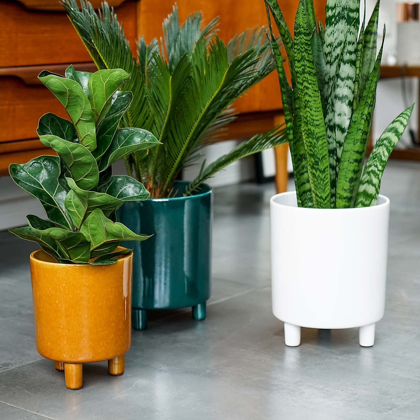Pisa Plant Pot