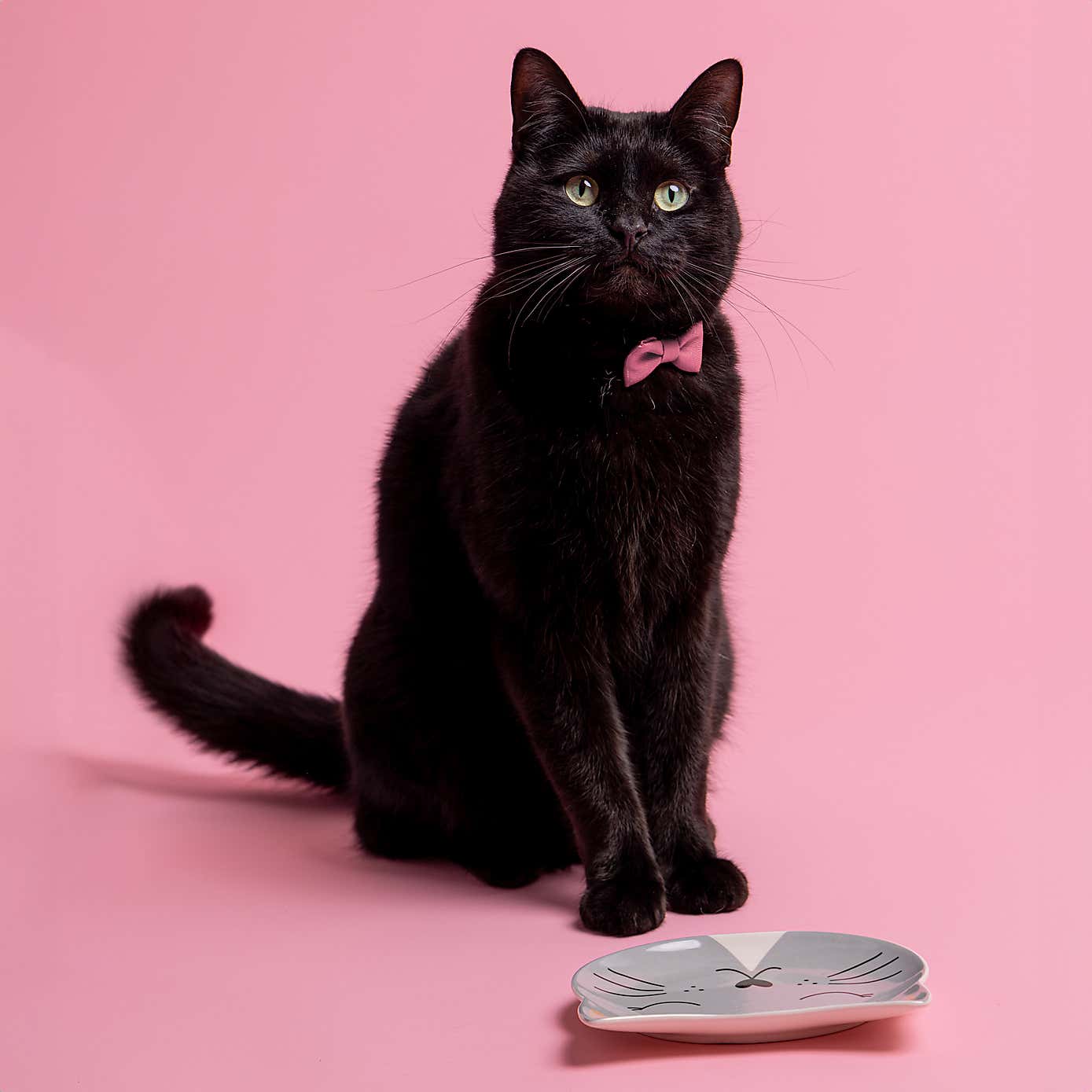 Mason Cash Smokey the Cat Saucer