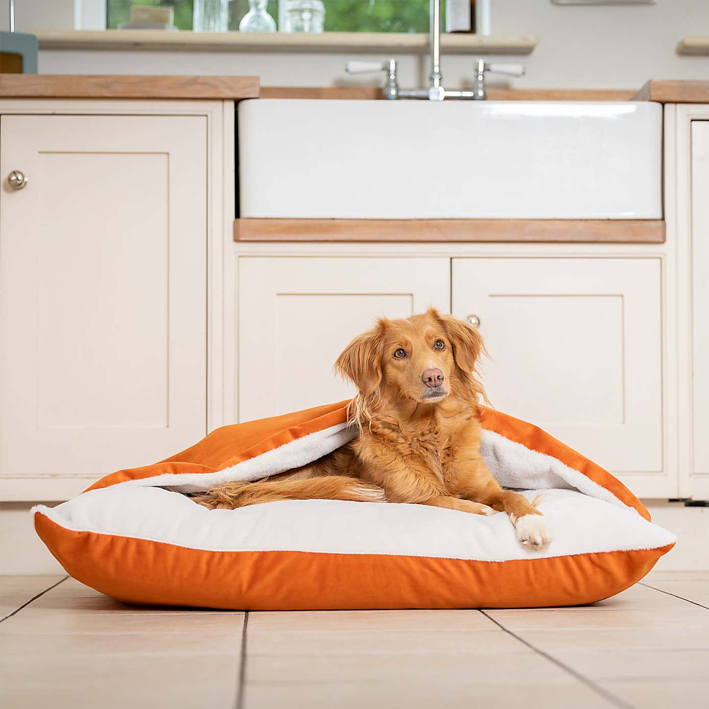 Lords and Labradors Burrow Dog Bed
