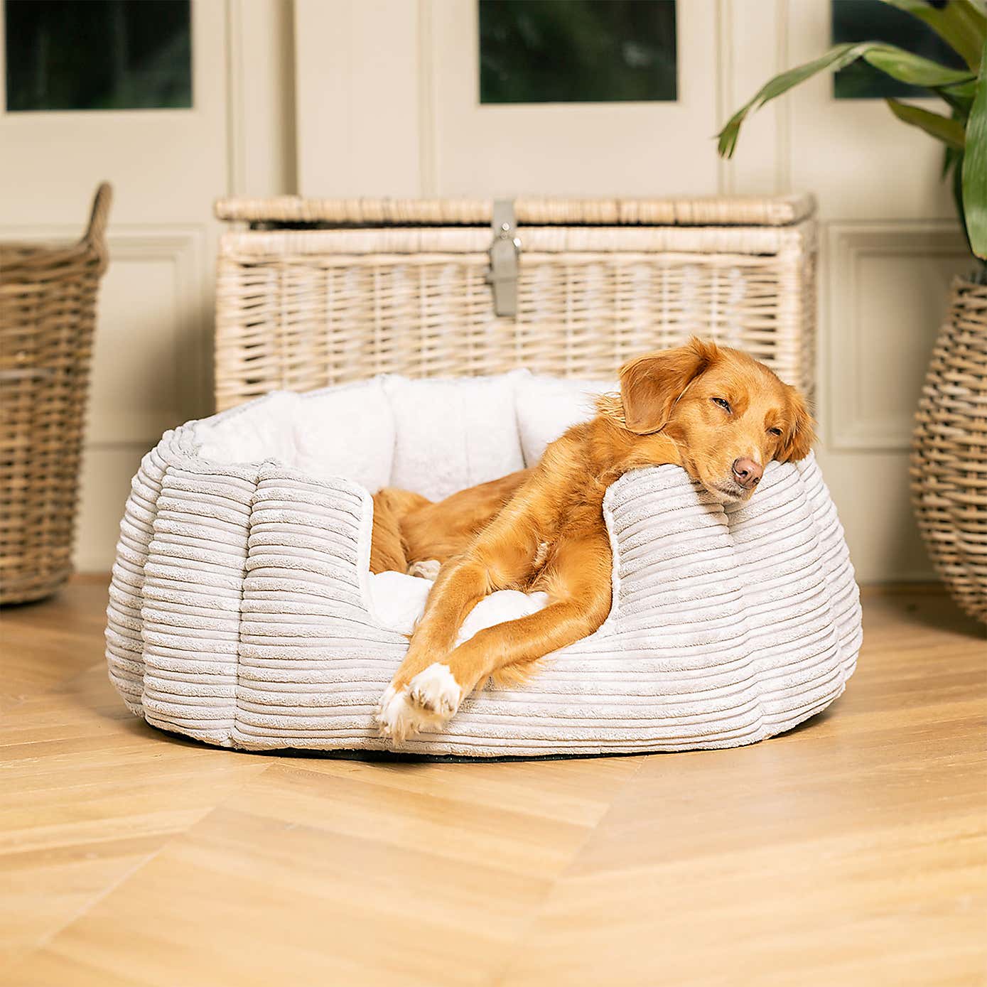 Lords and Labradors High Wall Dog Bed