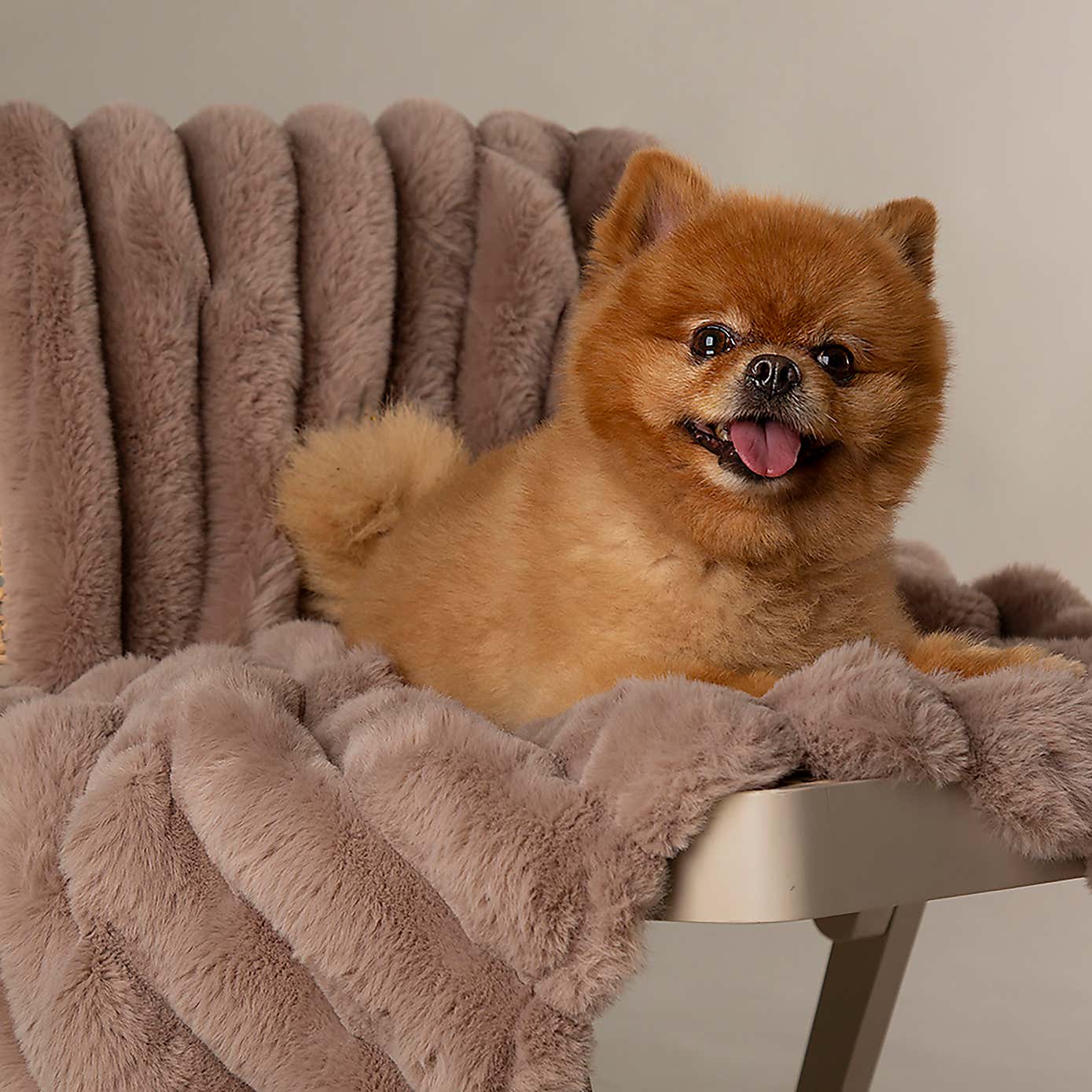 Scruffs Luxurious Aspen Pet Blanket