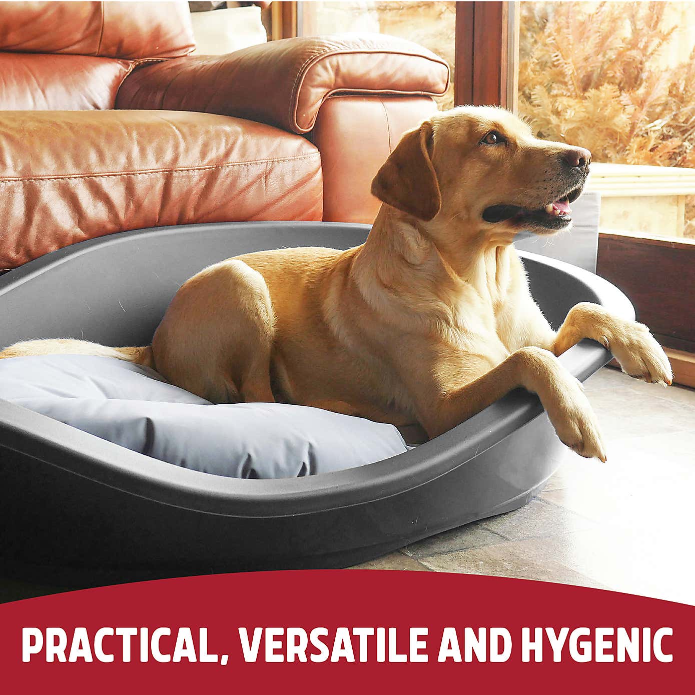Rosewood Sonny Plastic Pet Bed