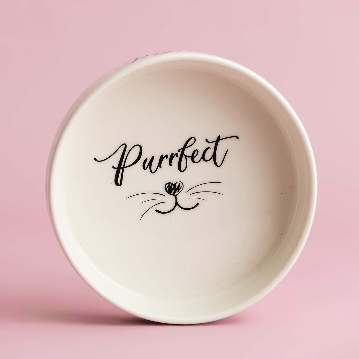 Set of 2 Purrfect Cat Bowls