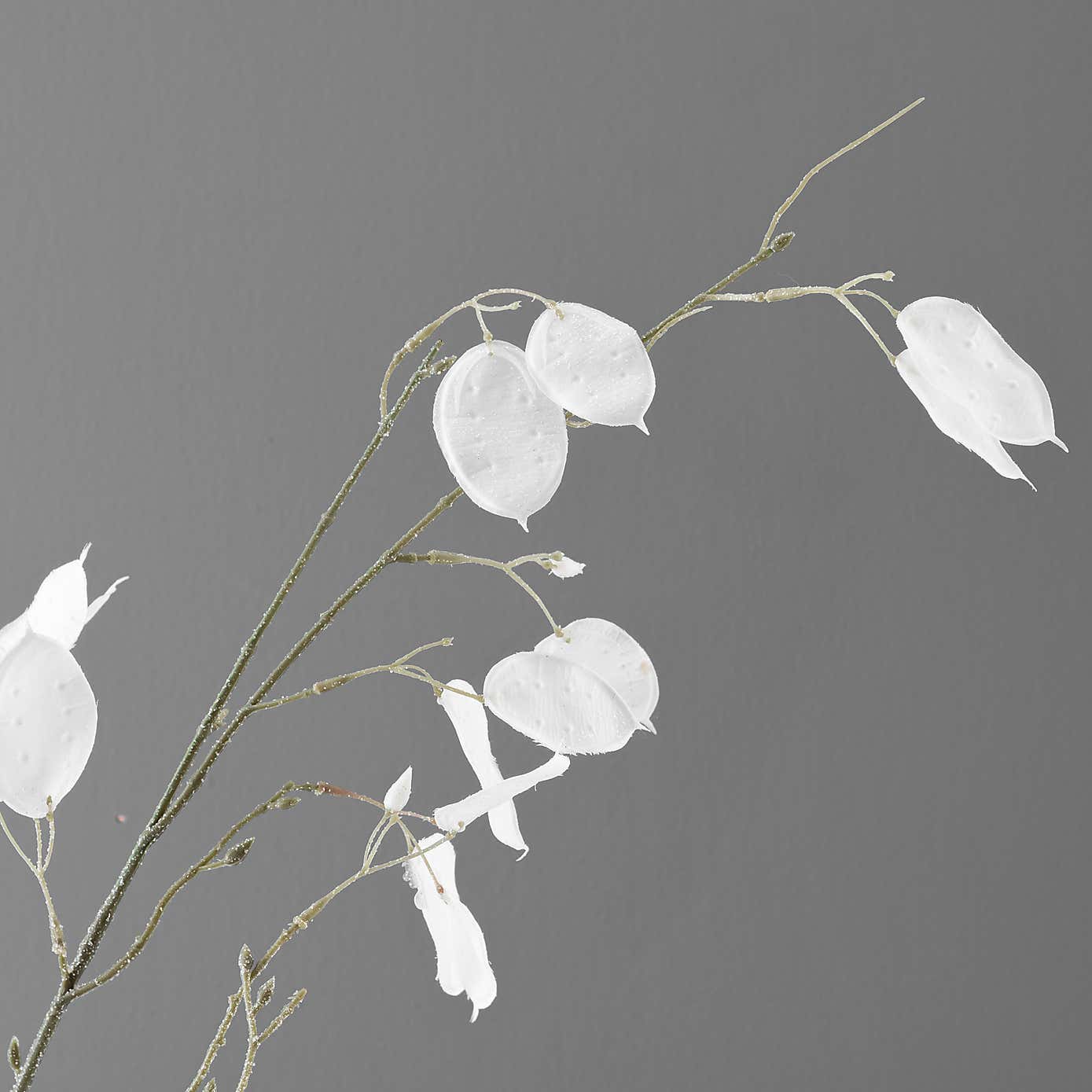 Artificial White Honesty Glitter Stem