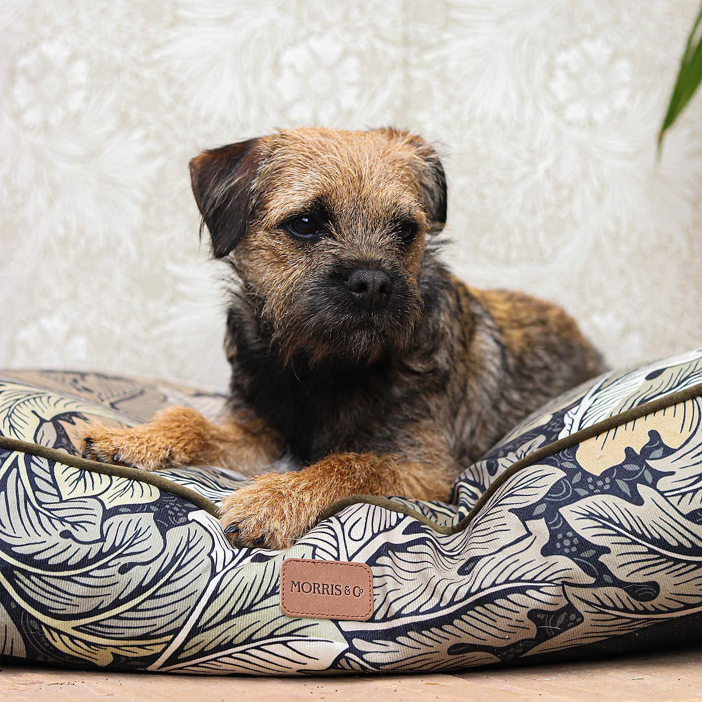 Morris & Co. Acanthus Pet Mattress