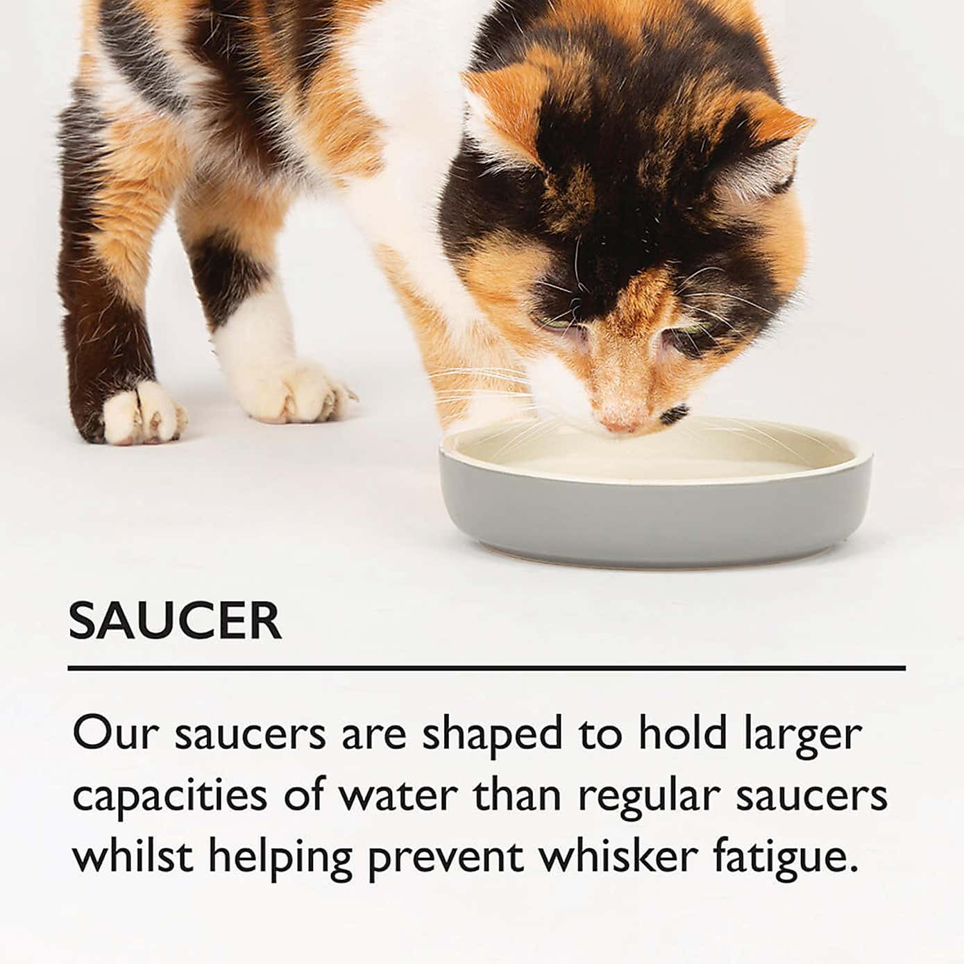 Scruffs Icon Raised Cat Feeder Bowl and Saucer Set