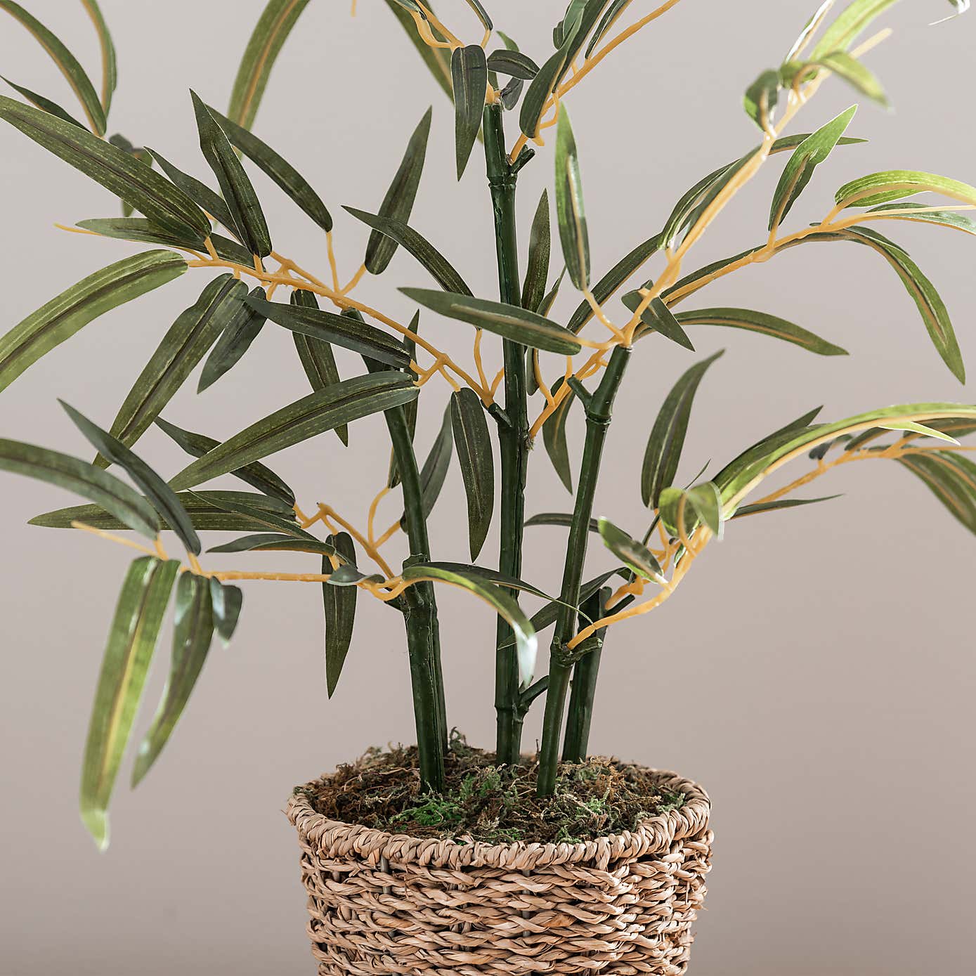 Artificial Small Bamboo in Woven Plant Pot