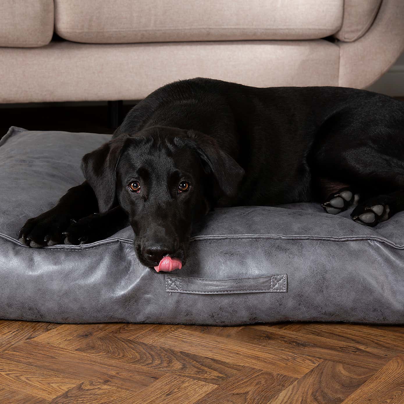 Scruffs Knightsbridge Mattress Pet Bed