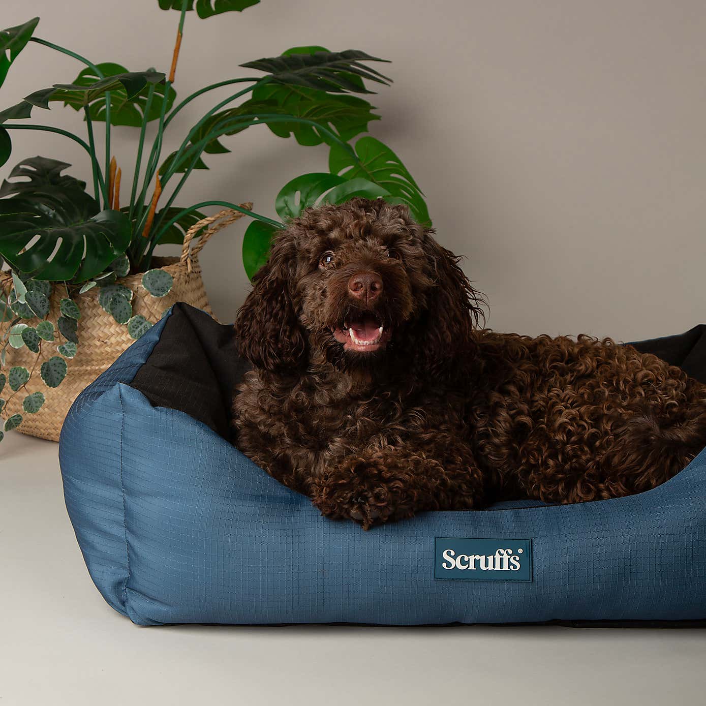 Scruffs Expedition Box Bed