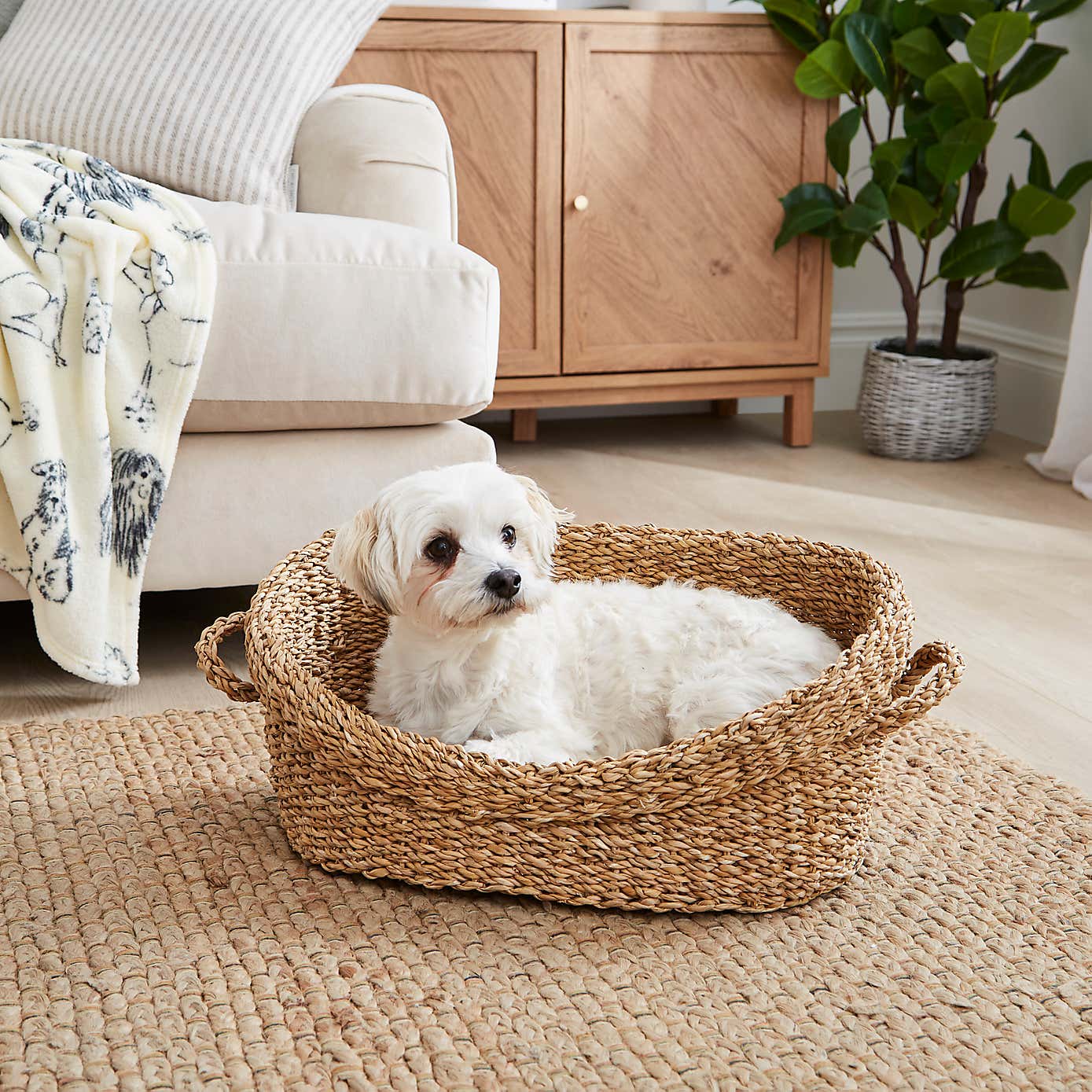 Seagrass Pet Bed