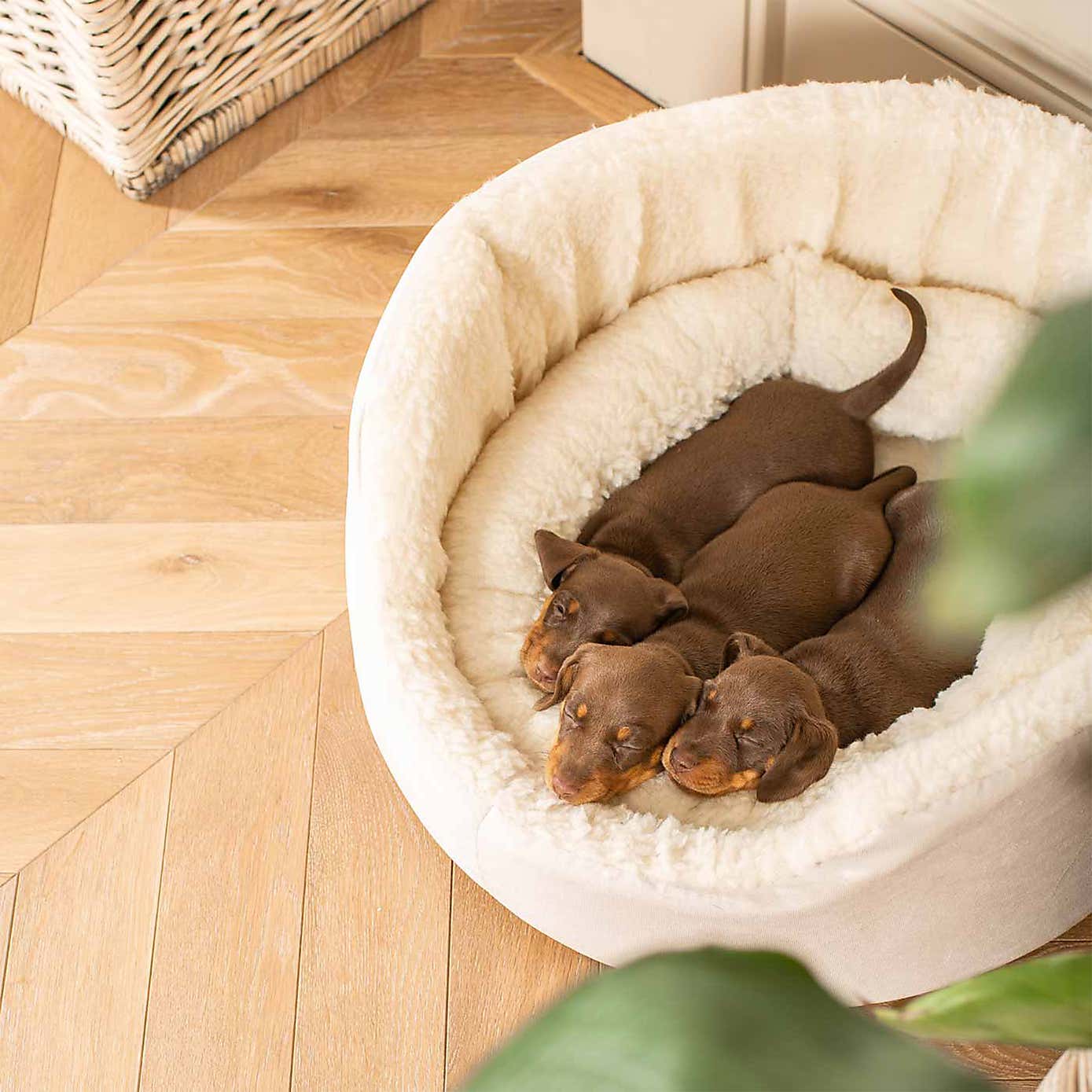Lords and Labradors Grow With Me Puppy Bed