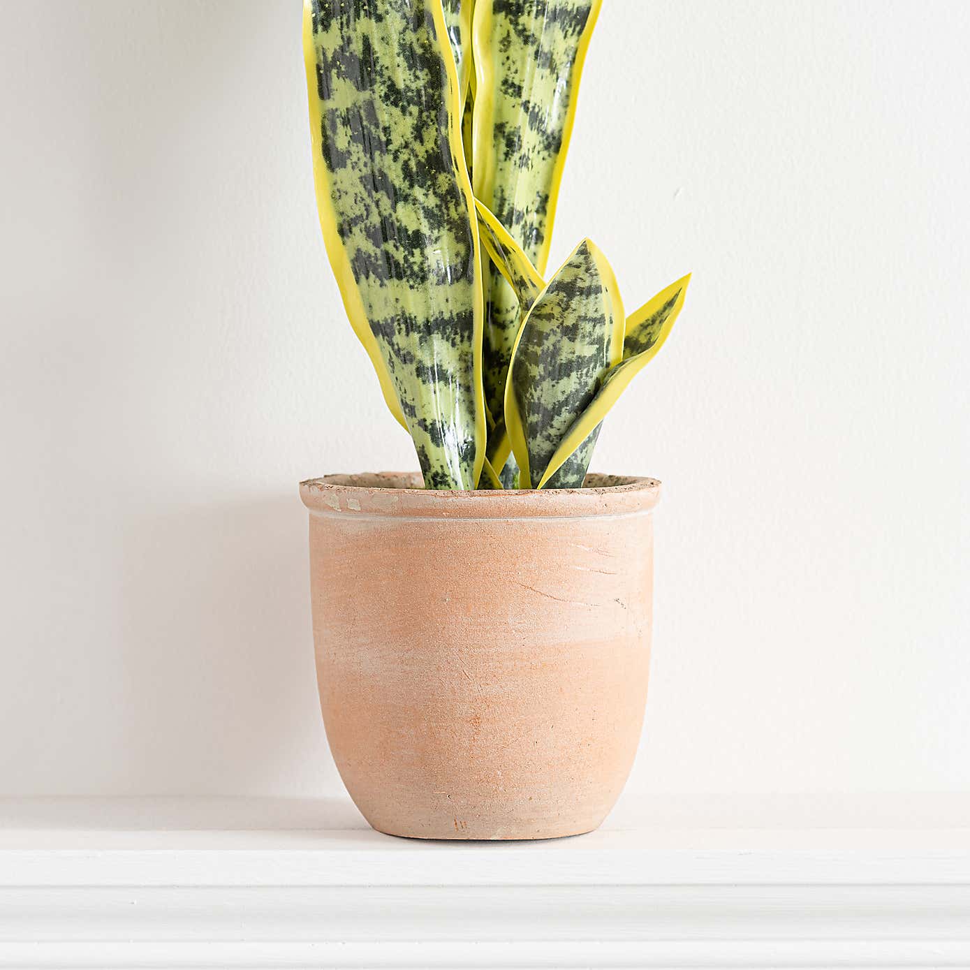 Artificial Sansevieria in Terracotta Plant Pot