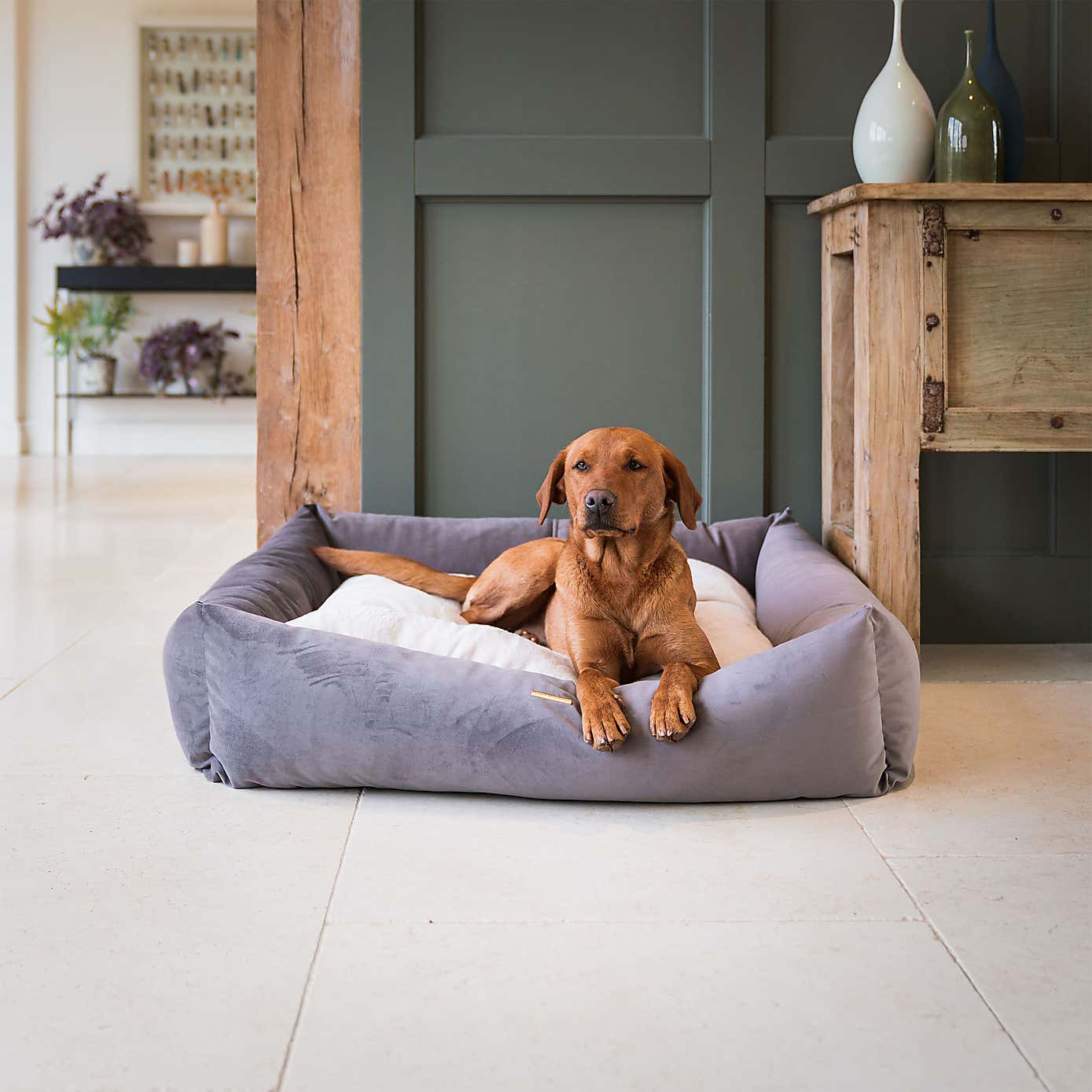 Lords and Labradors Velvet Box Dog Bed