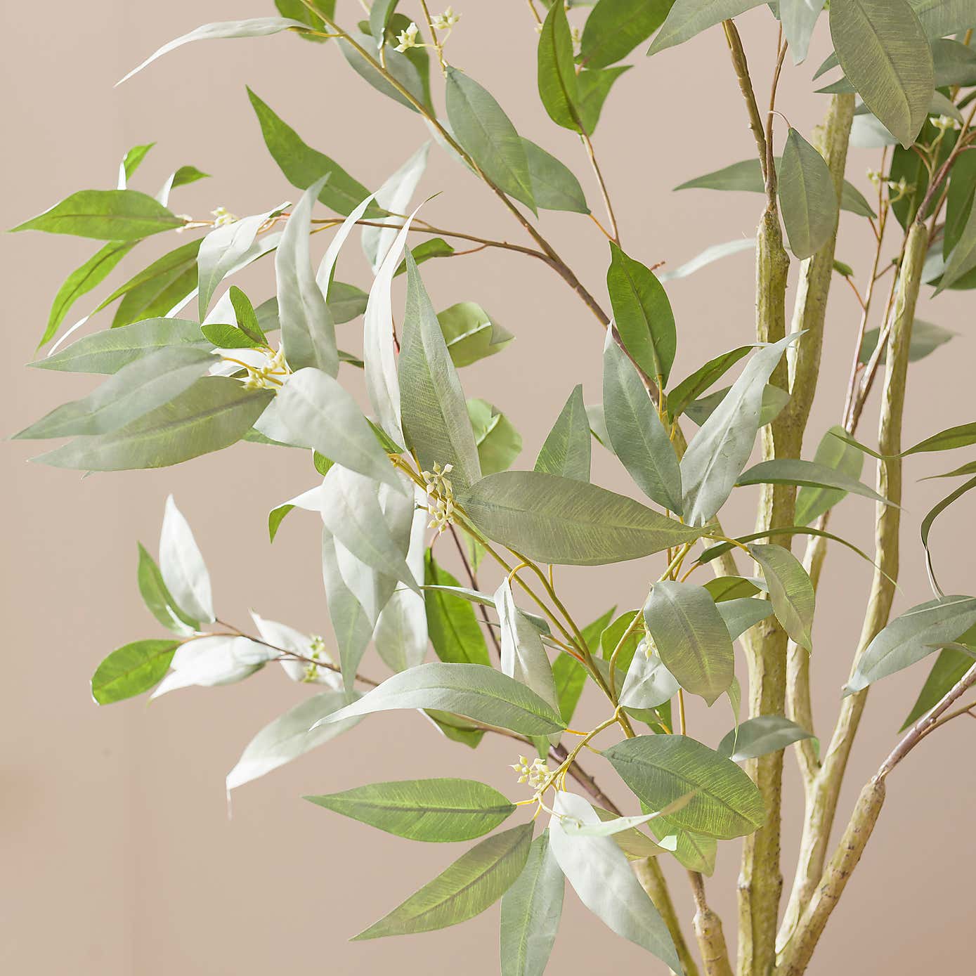 Artificial Blue Gum Tree in Black Plastic Plant Pot