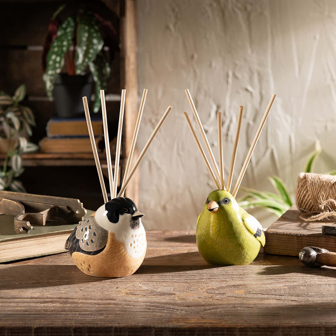 Greenfinch Cedar, Patchouli & Vetiver Diffuser