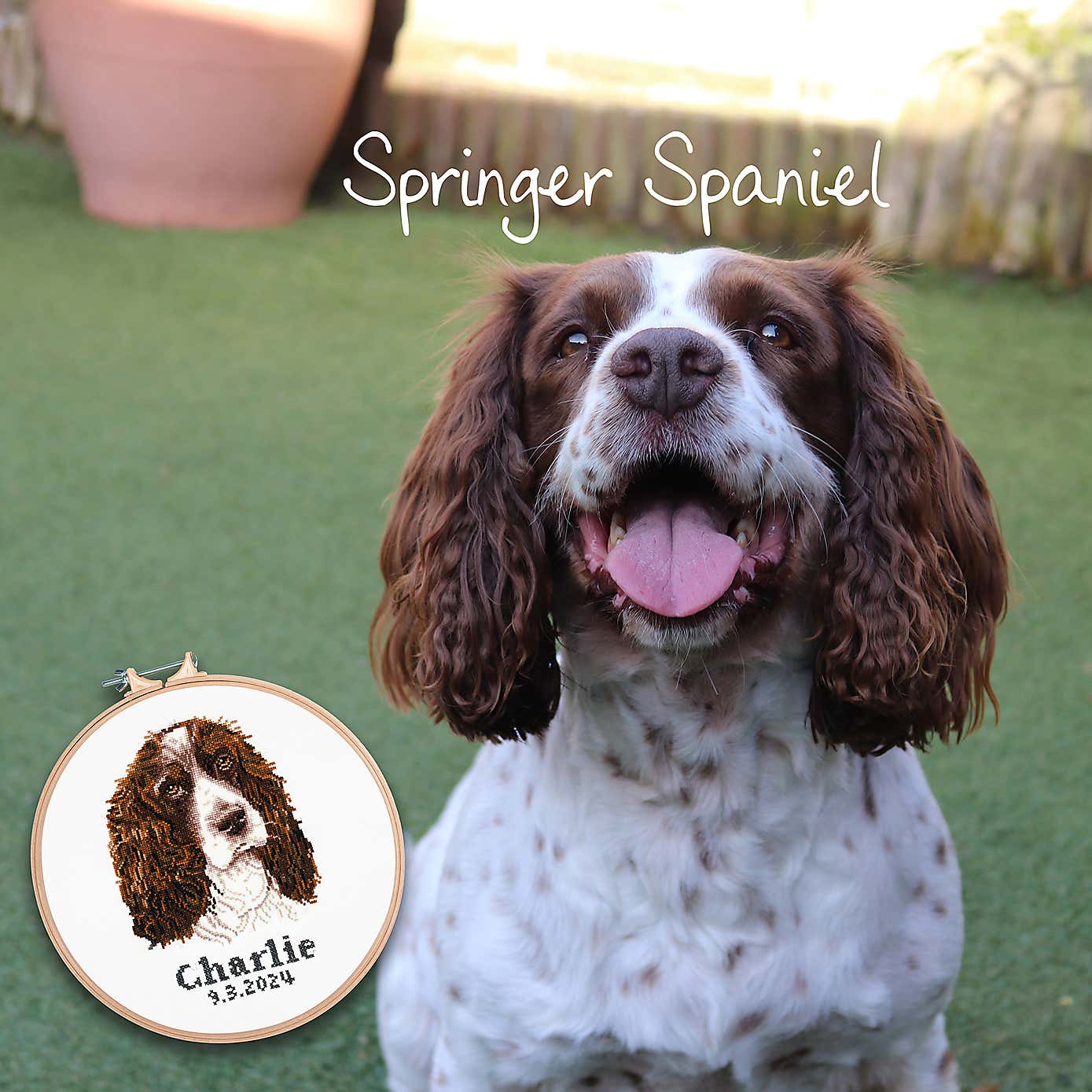 Cross Stitch Springer Spaniel
