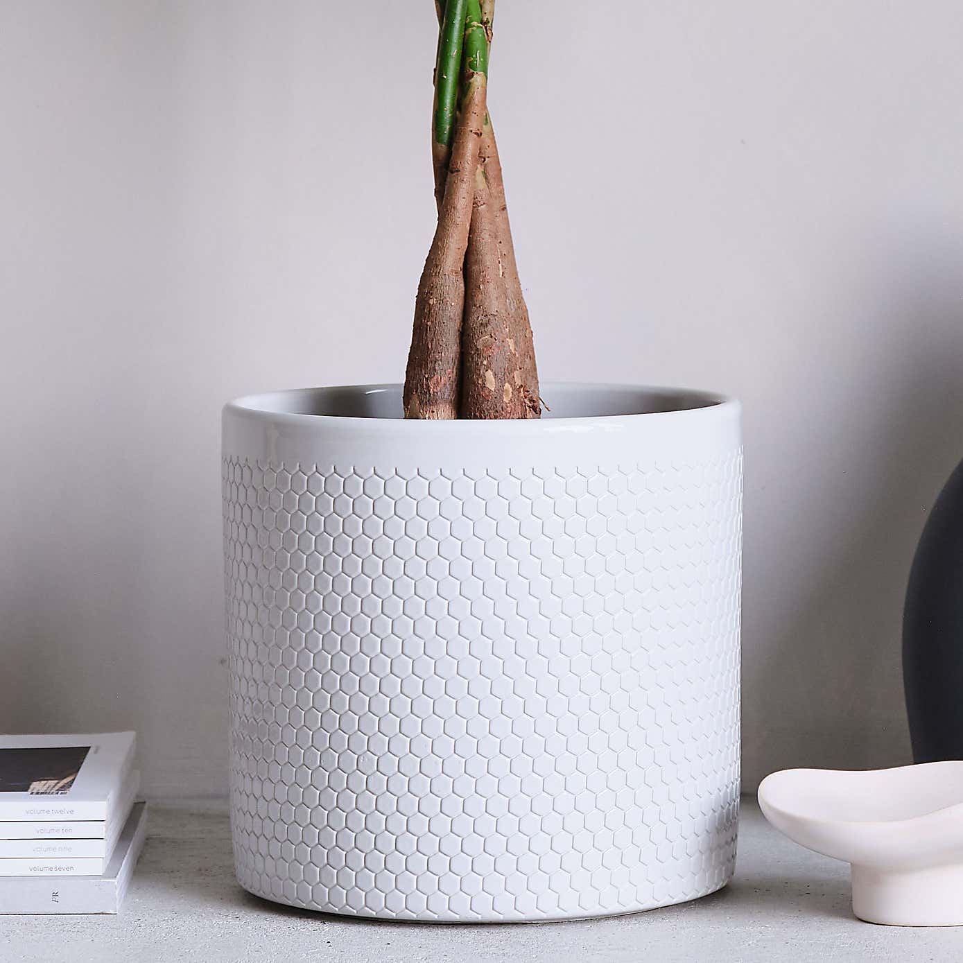 Beards and Daisies Capri Plant Pot