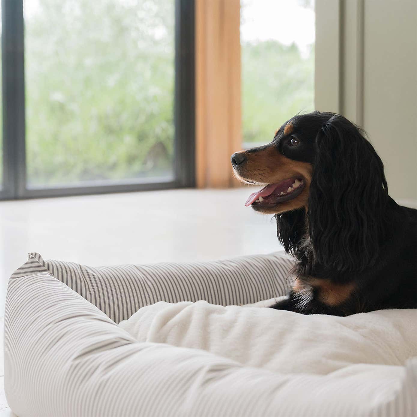 Lords and Labradors Striped Box Dog Bed