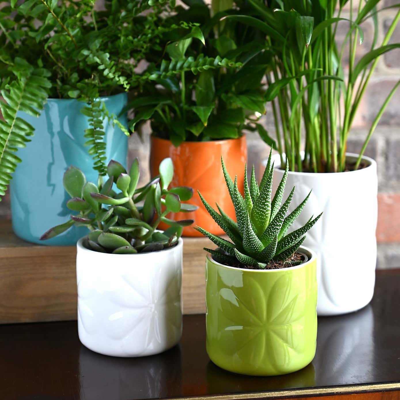 Navigate Carnaby Ceramic Embossed Pot