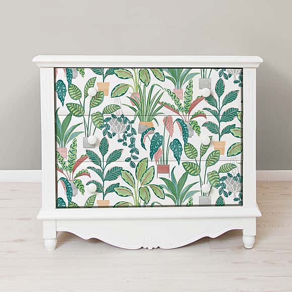 House Plants Self Adhesive Wallpaper