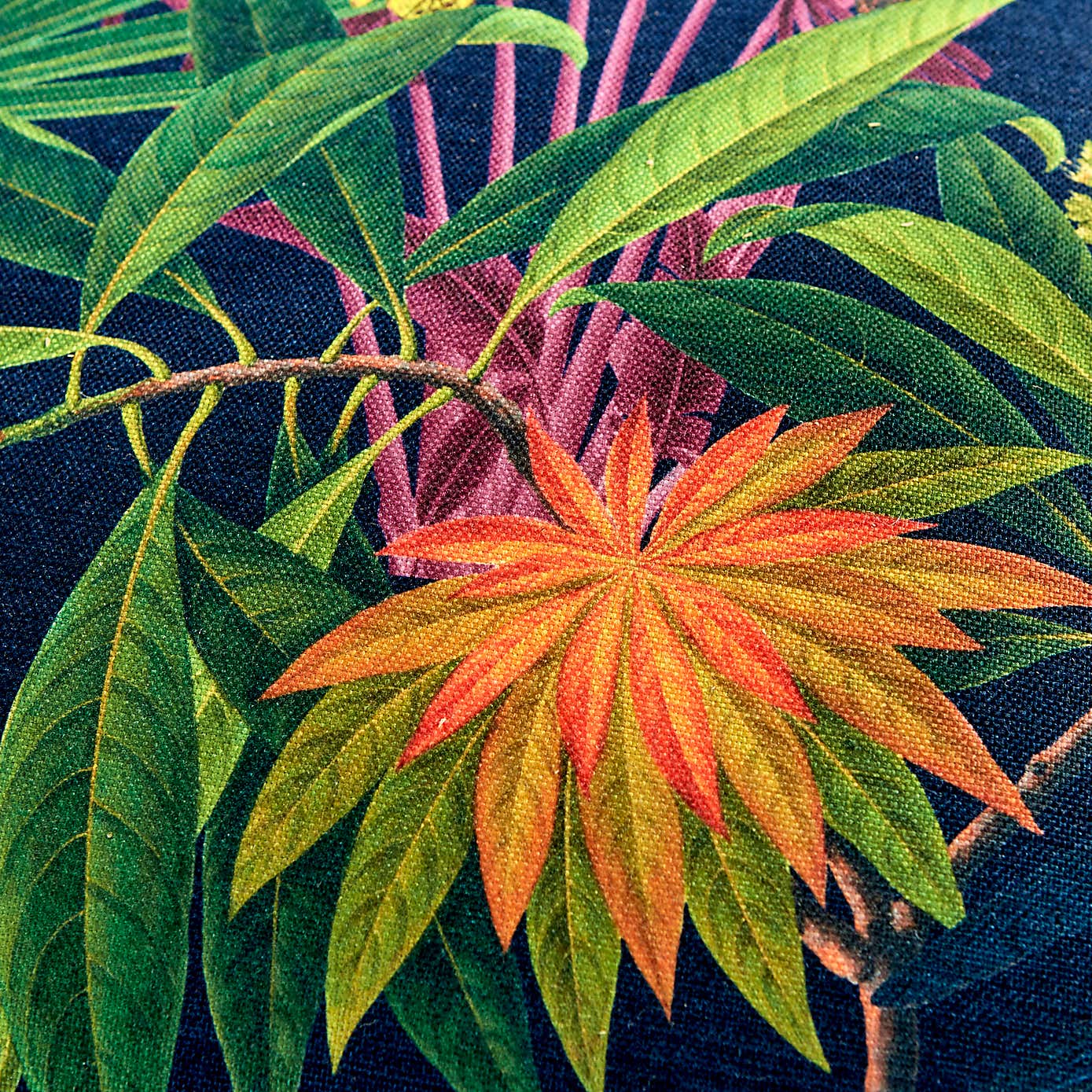 Tropical Treasures Fabric Sample