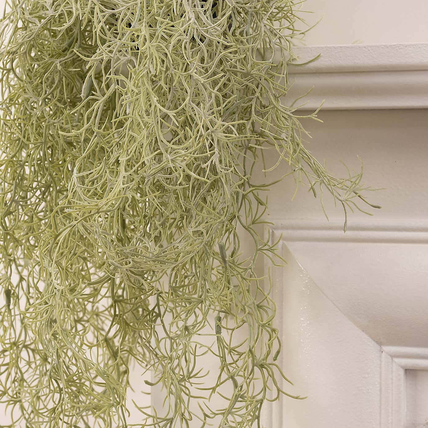 Artificial Trailing Spanish Moss in Black Plastic Plant Pot