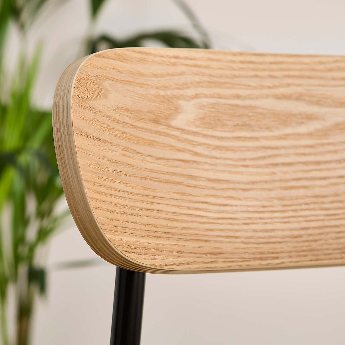 Elements Griffin Dining Chair