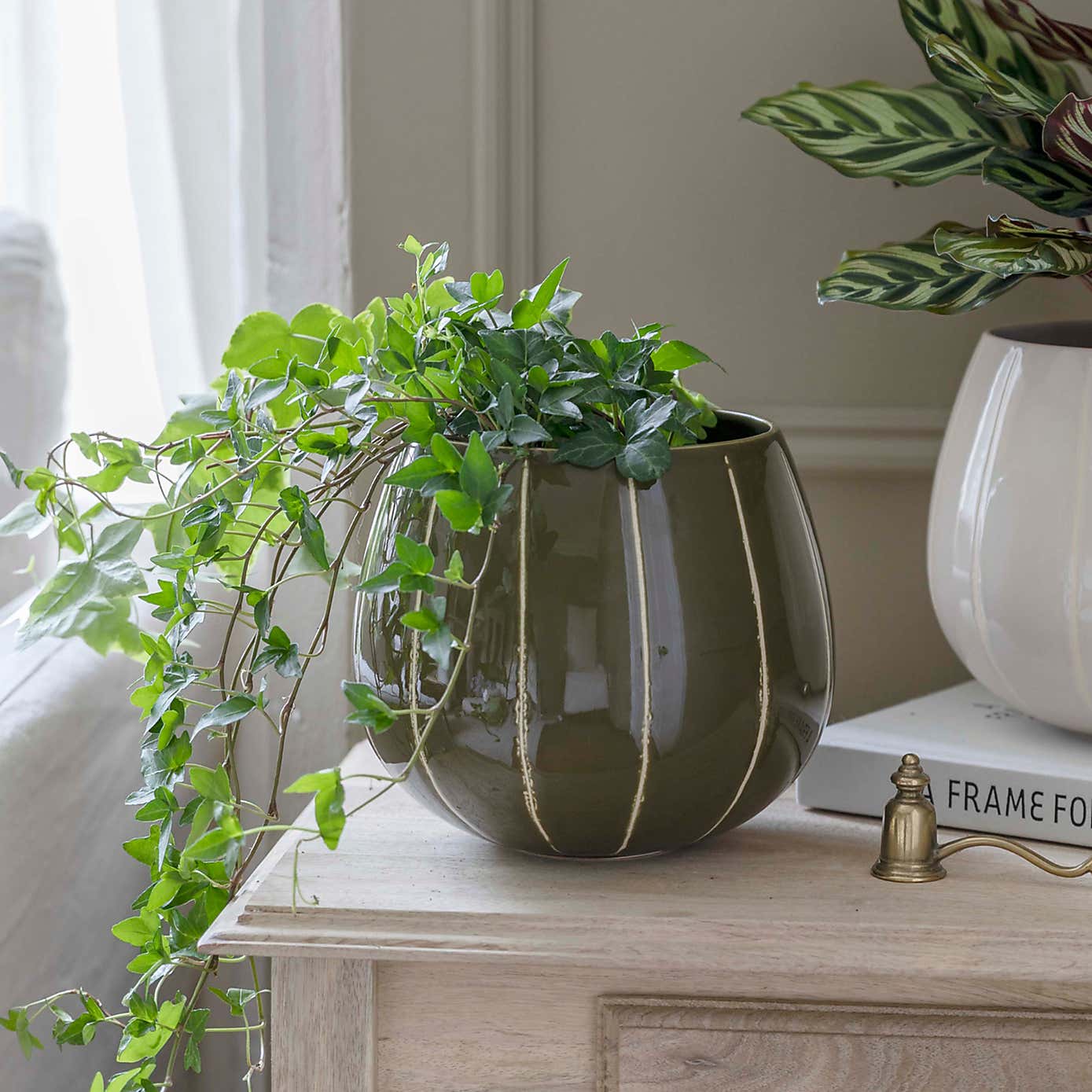 Nova Wax Relief Planter