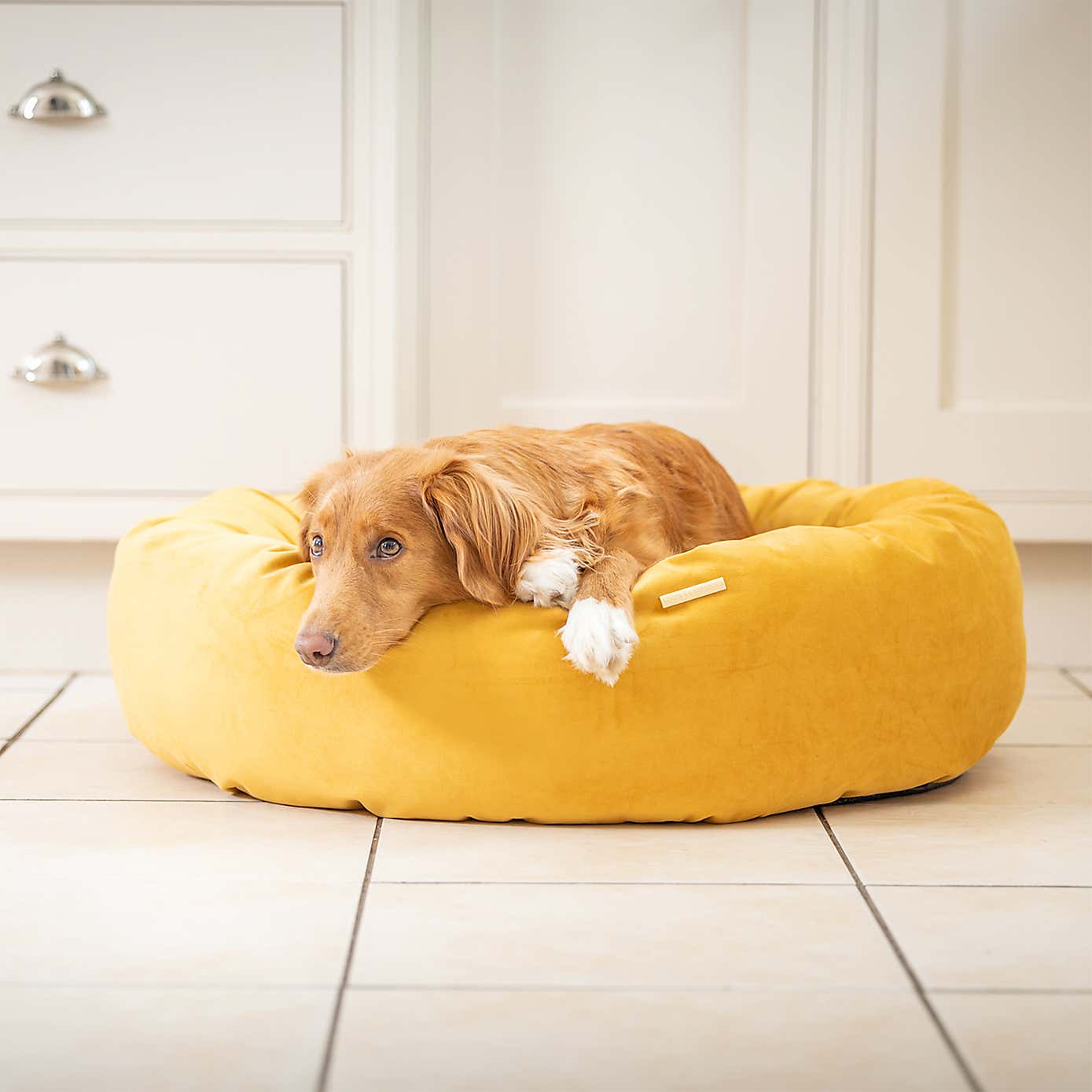 Lords and Labradors Velvet Donut Dog Bed