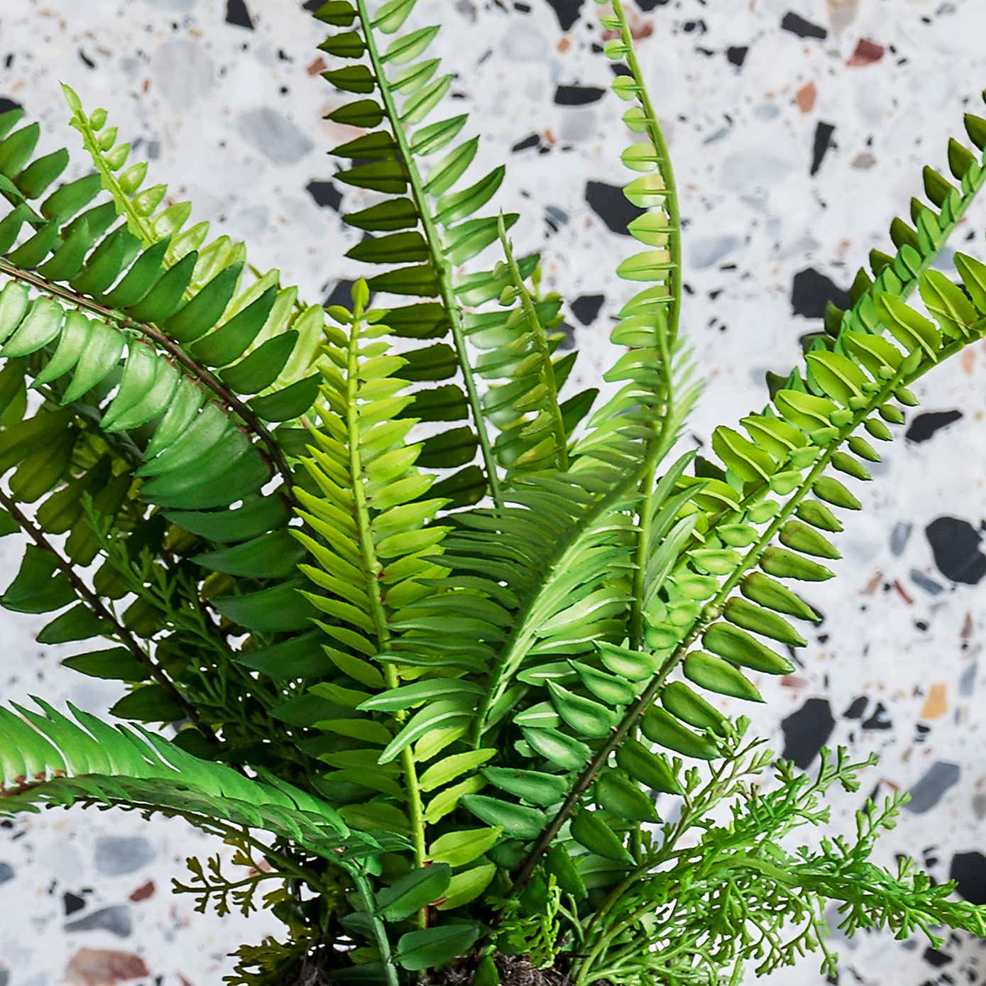 Artificial Boston Fern