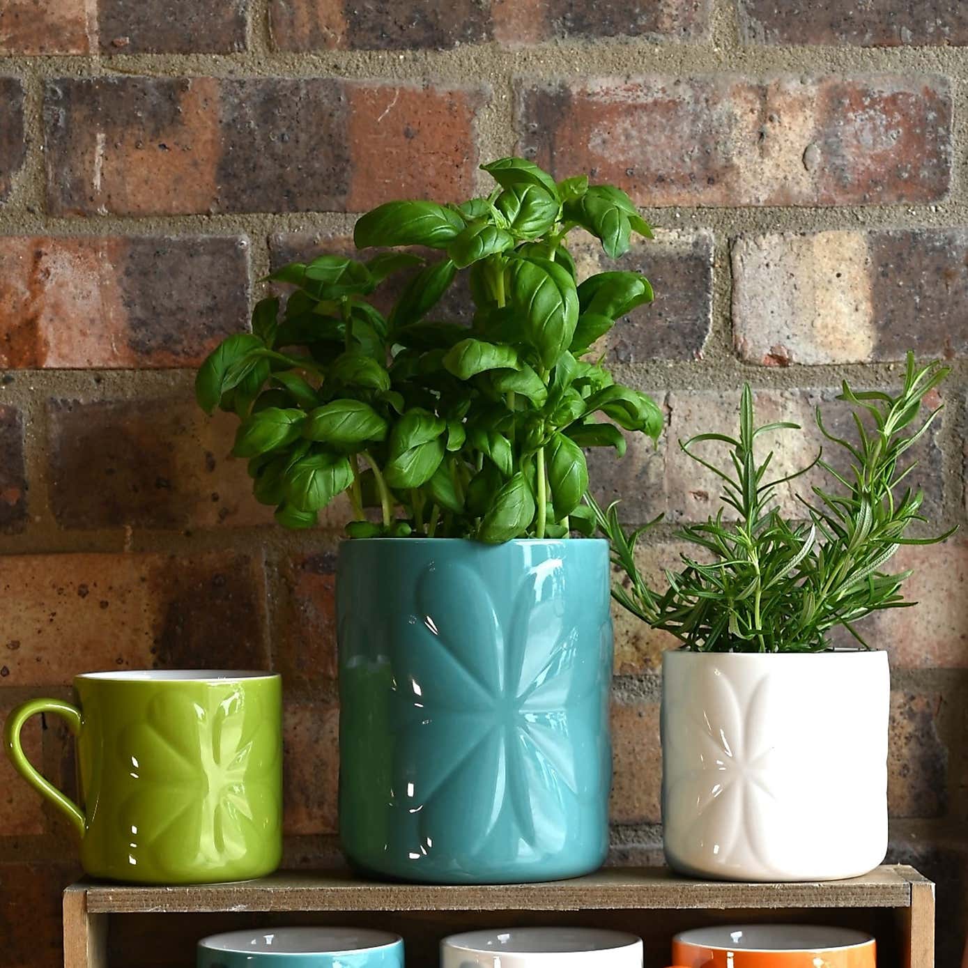 Navigate Carnaby Ceramic Embossed Pot