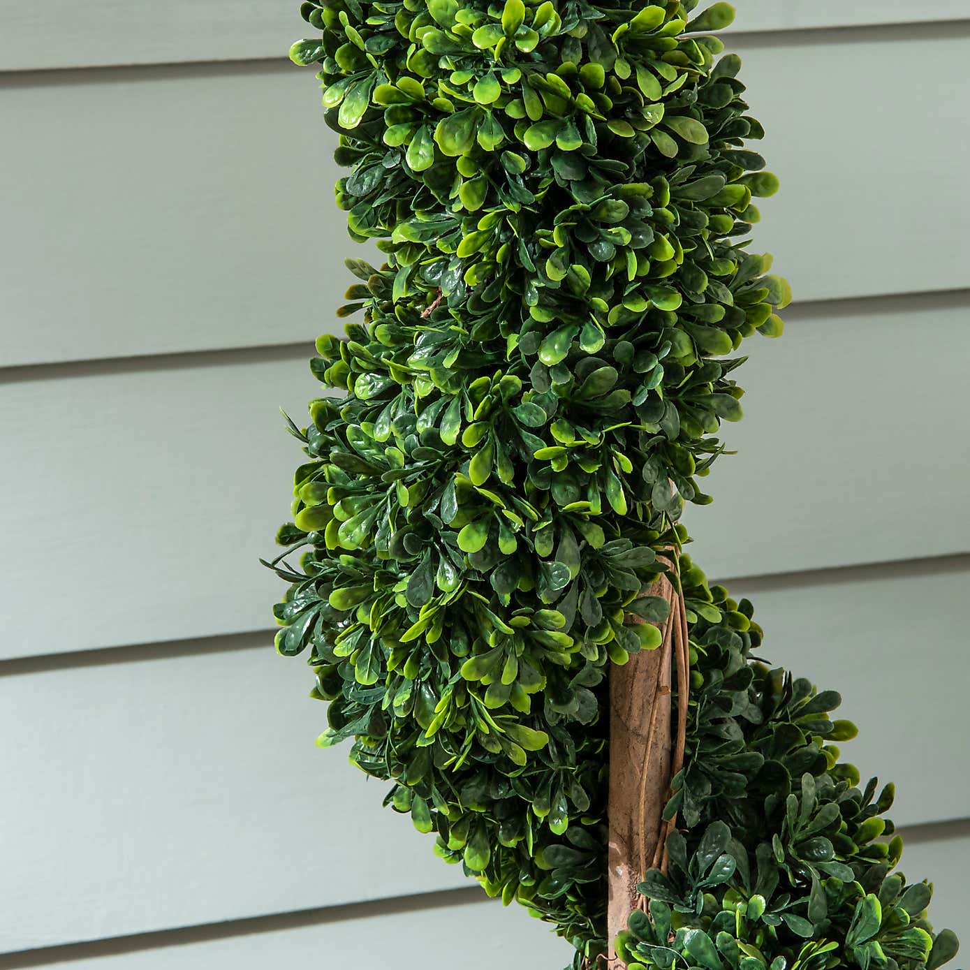 Spiral Topiary in Silver Pot 70cm