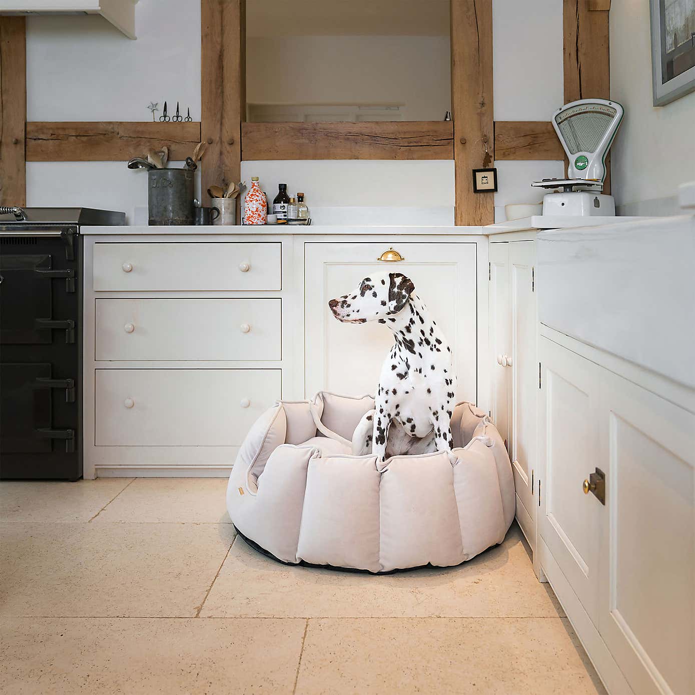 Lords and Labradors Velvet High Wall Dog Bed