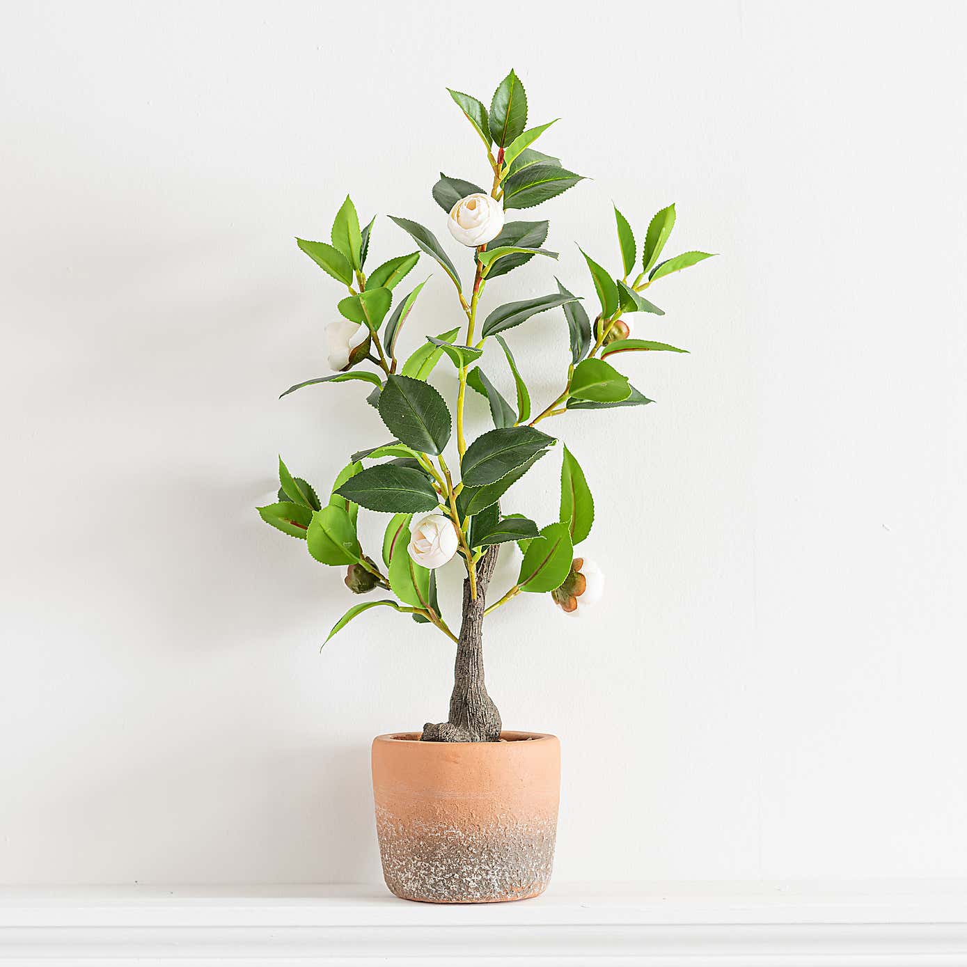 Artificial Camellia Tree in Terracotta Plant Pot