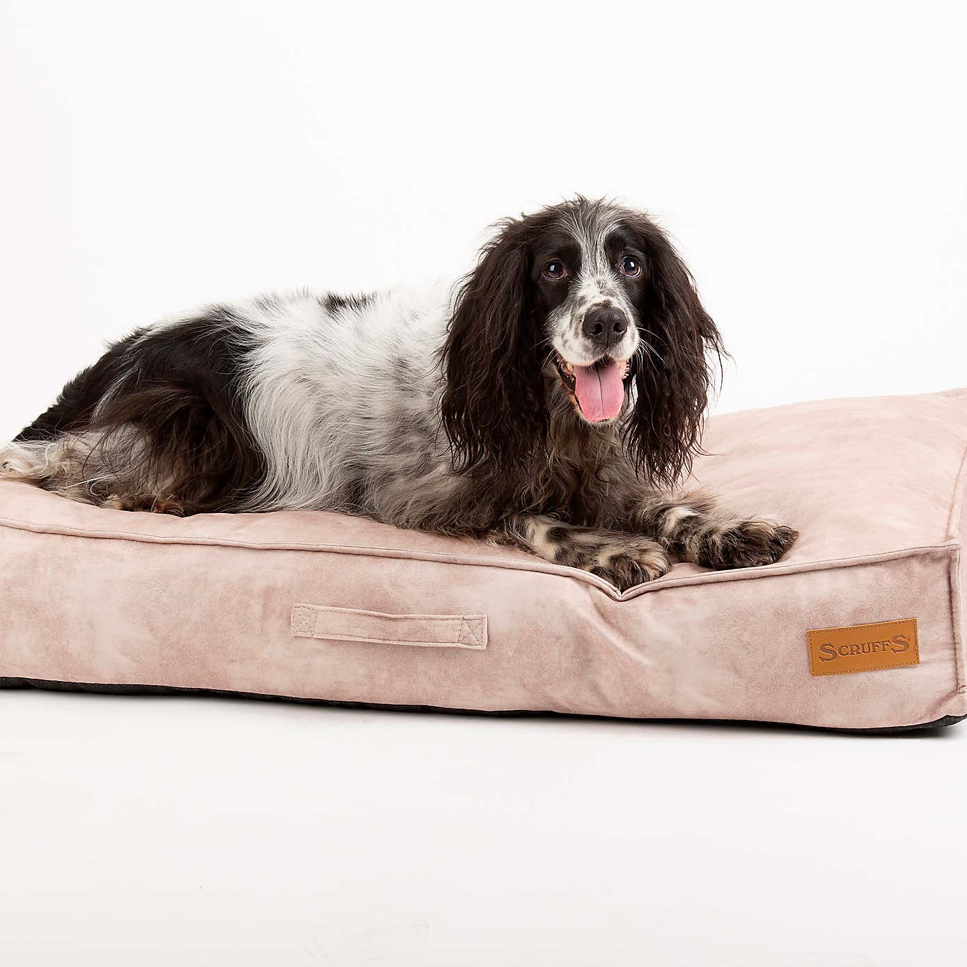 Scruffs Kensington Mattress Pet Bed