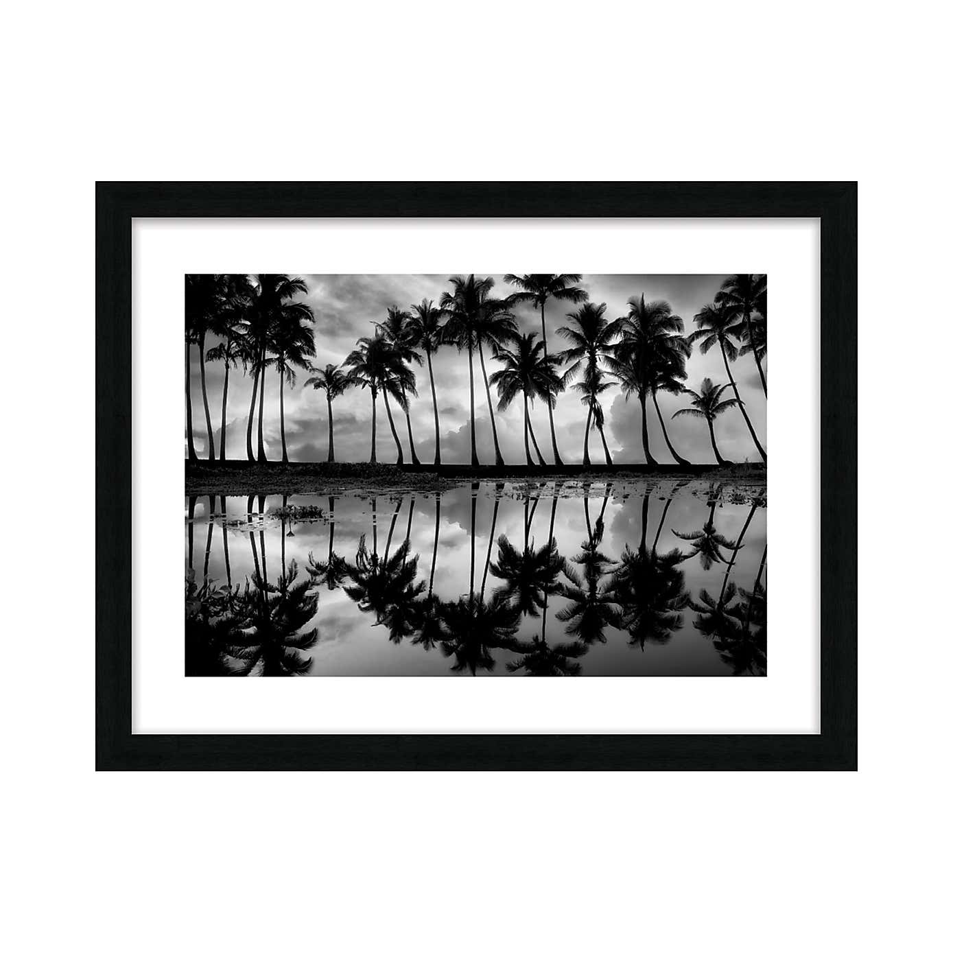 The Art Group Palm Reflection Framed Print