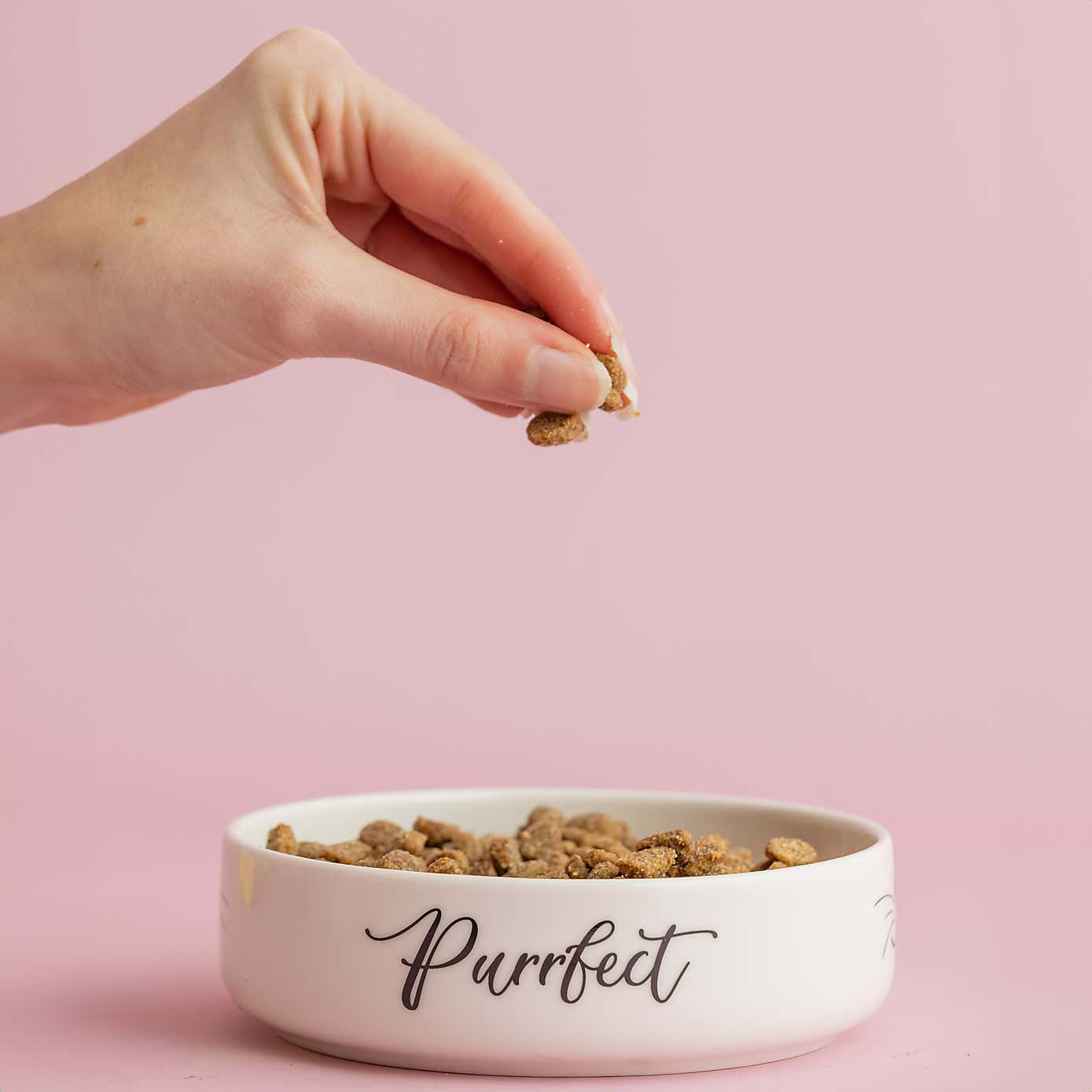 Set of 2 Purrfect Cat Bowls