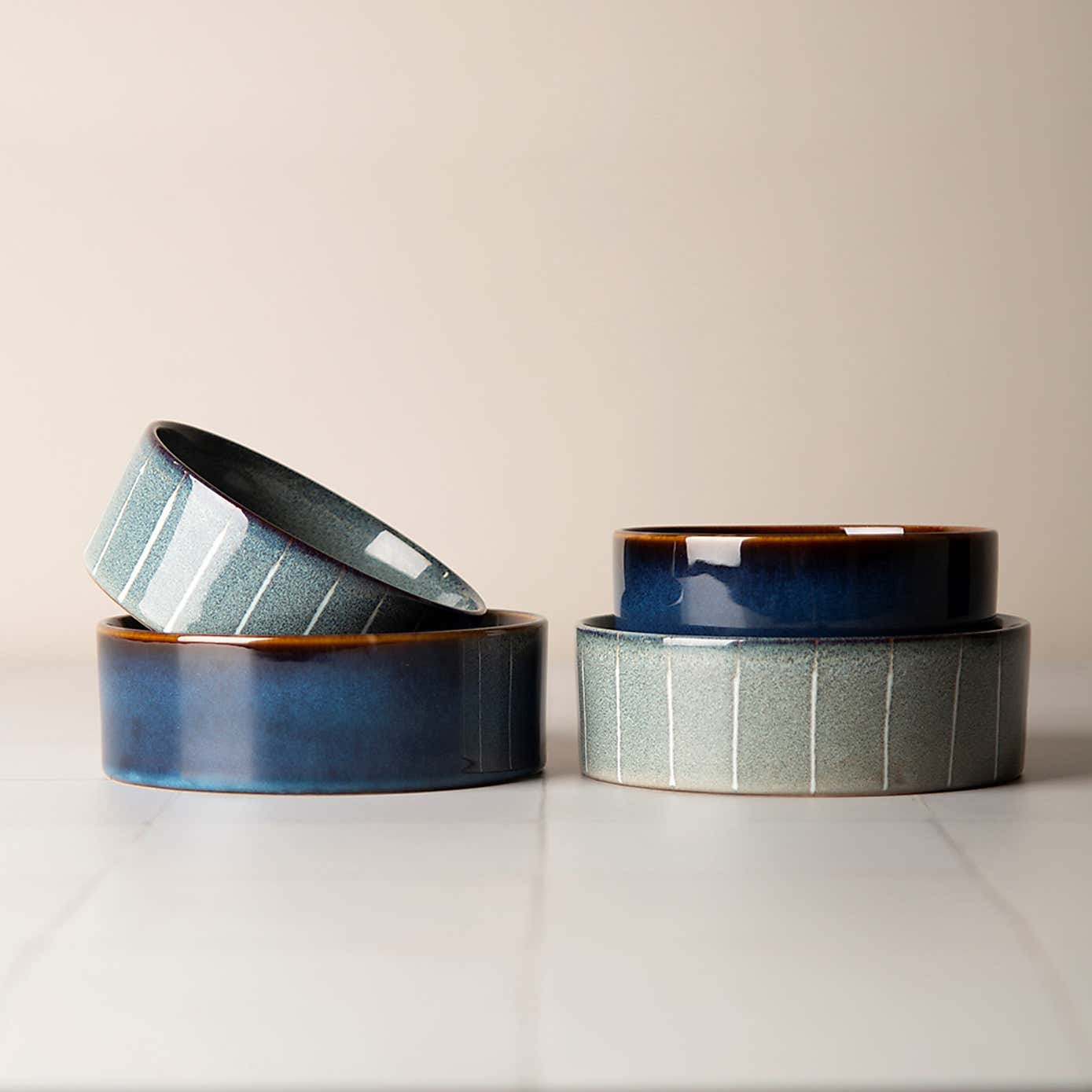 Set of 2 Scruffs Reactive Bowls