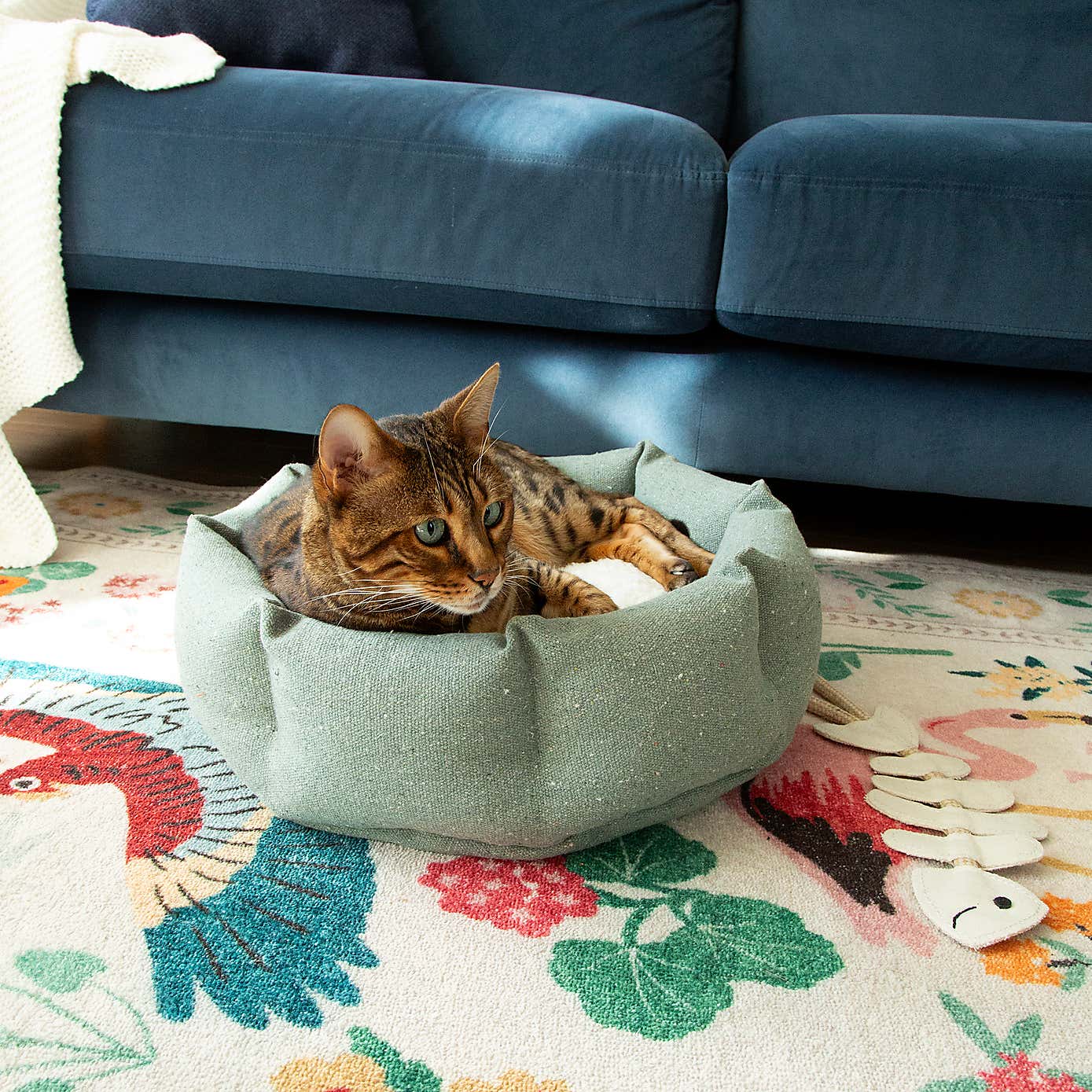 Scruffs 100% Recycled Eden Cat Small Dog Bed